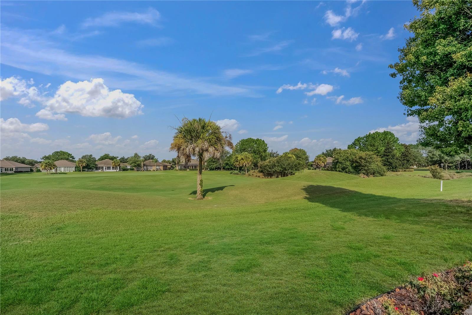 9563 SW 71ST LOOP