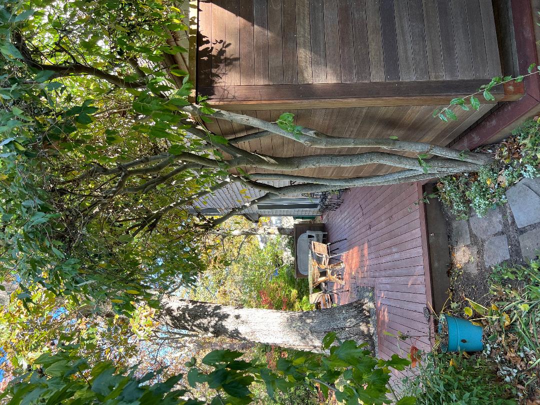 14 Twenty First St North