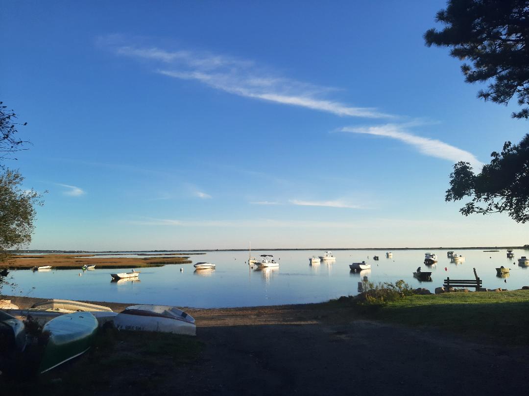 14 Twenty First St North