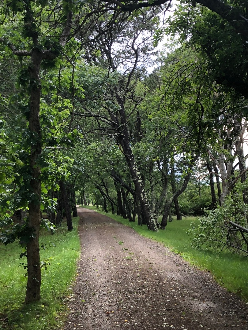 5 Lenssen Way & 63 Eel Pond Lane