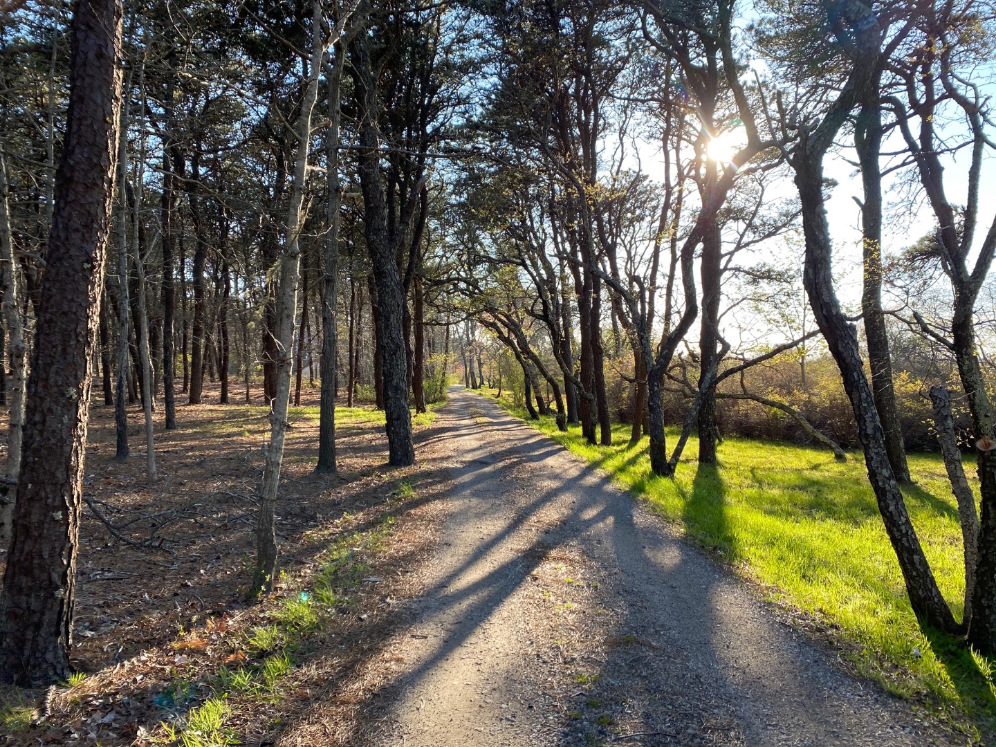 5 Lenssen Way & 63 Eel Pond Lane