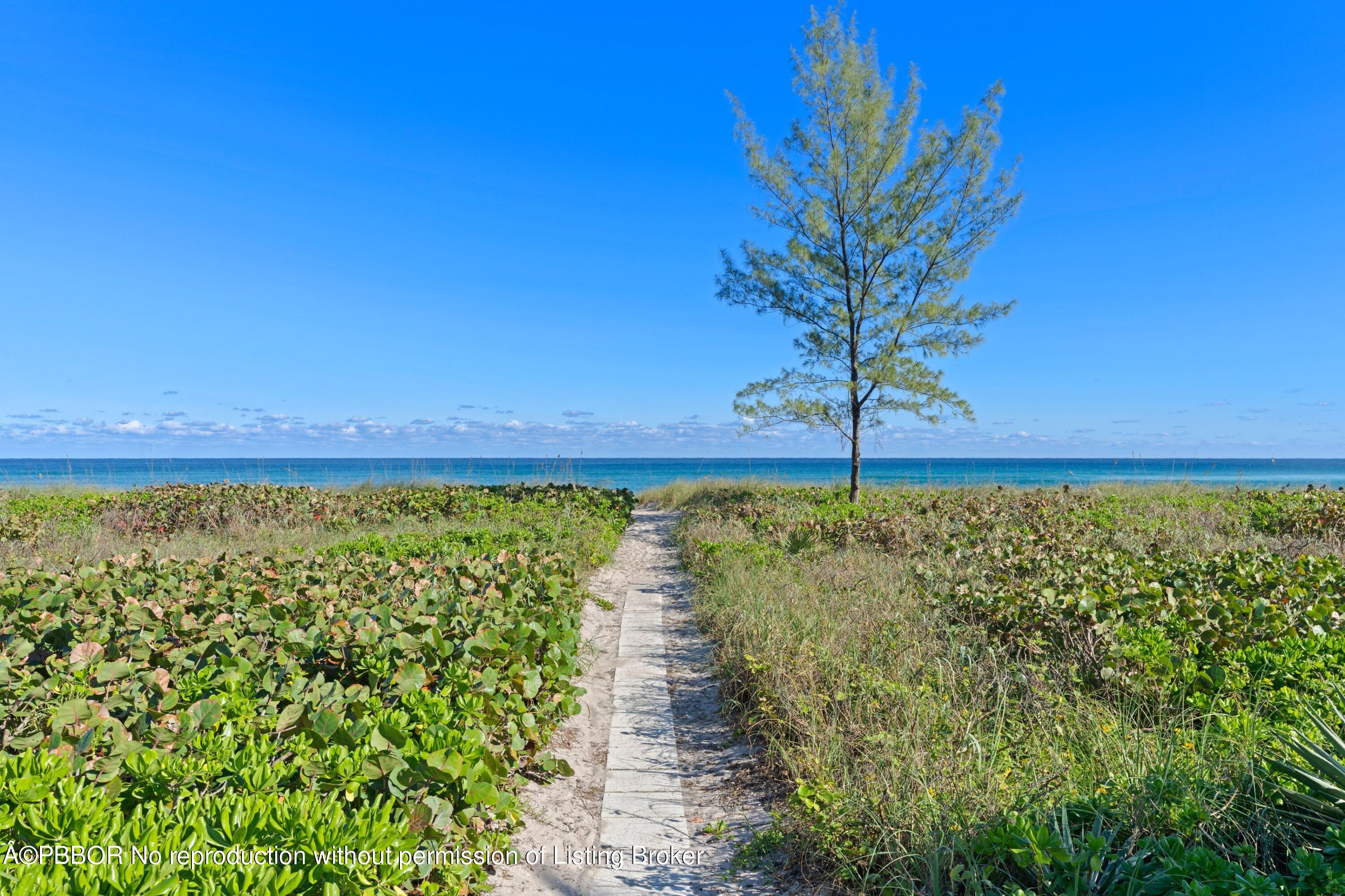 1171 N Ocean Boulevard, 0231