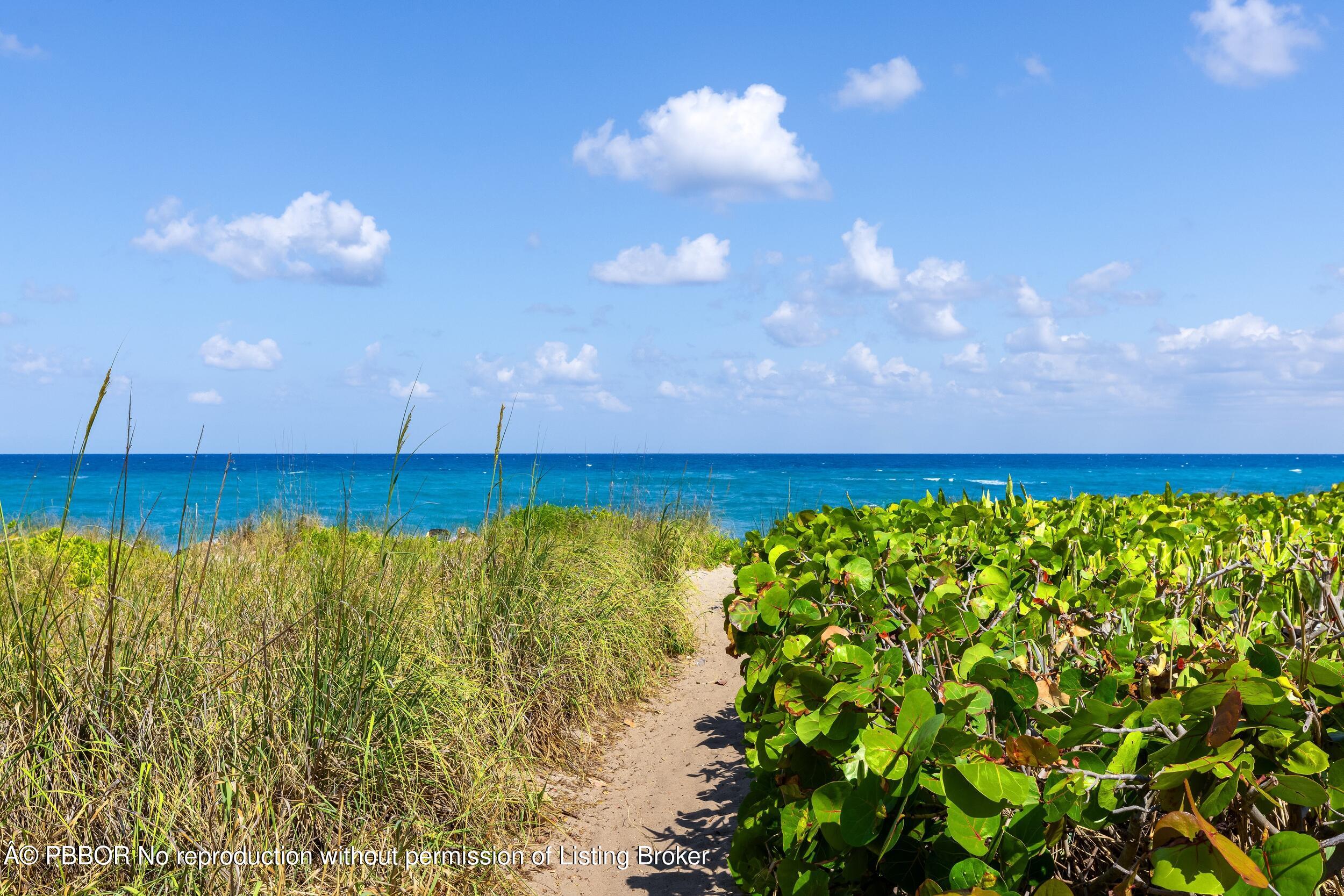 175 Sunset Avenue, -
