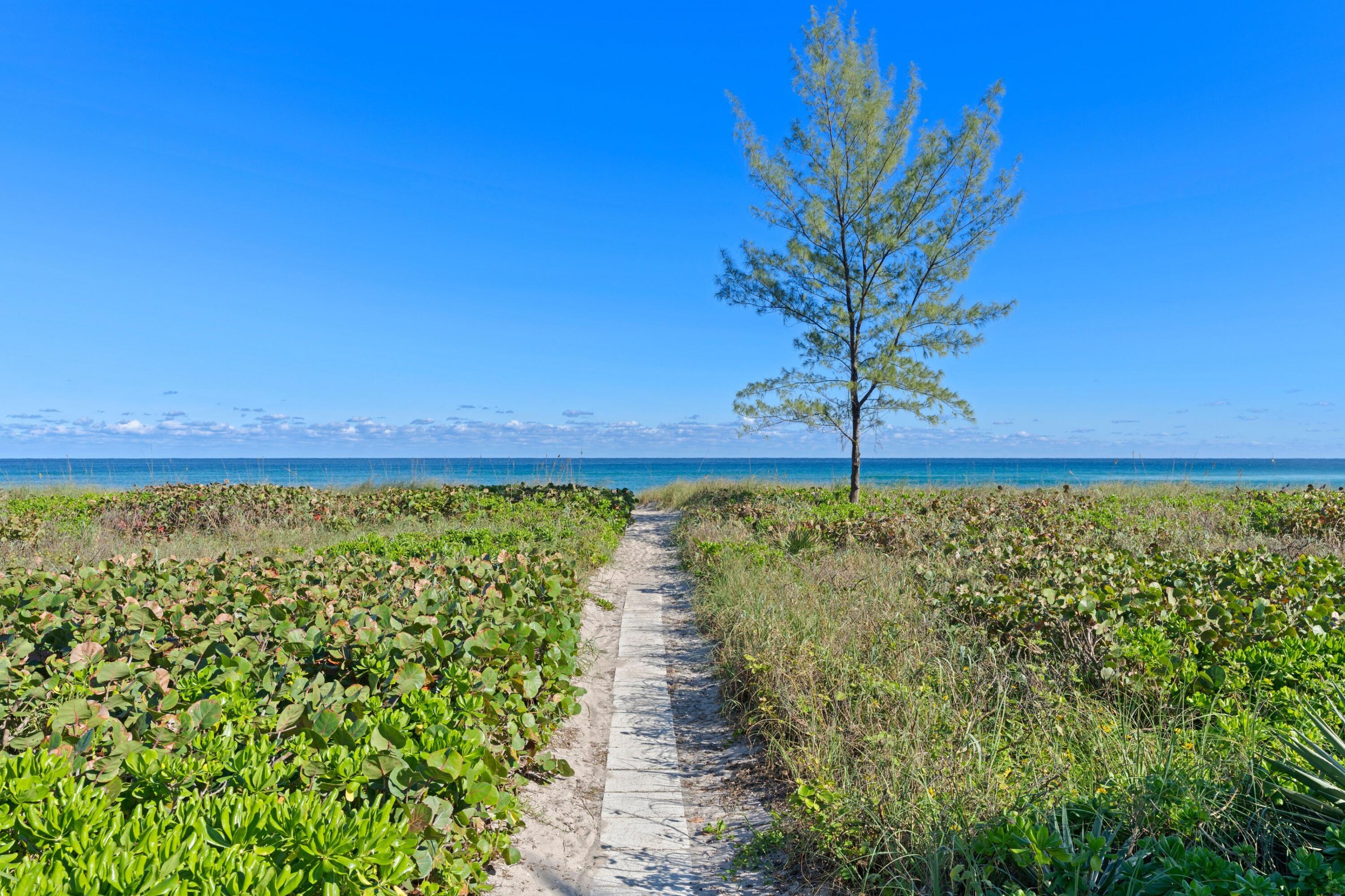 1171 N Ocean Boulevard 2 C-N