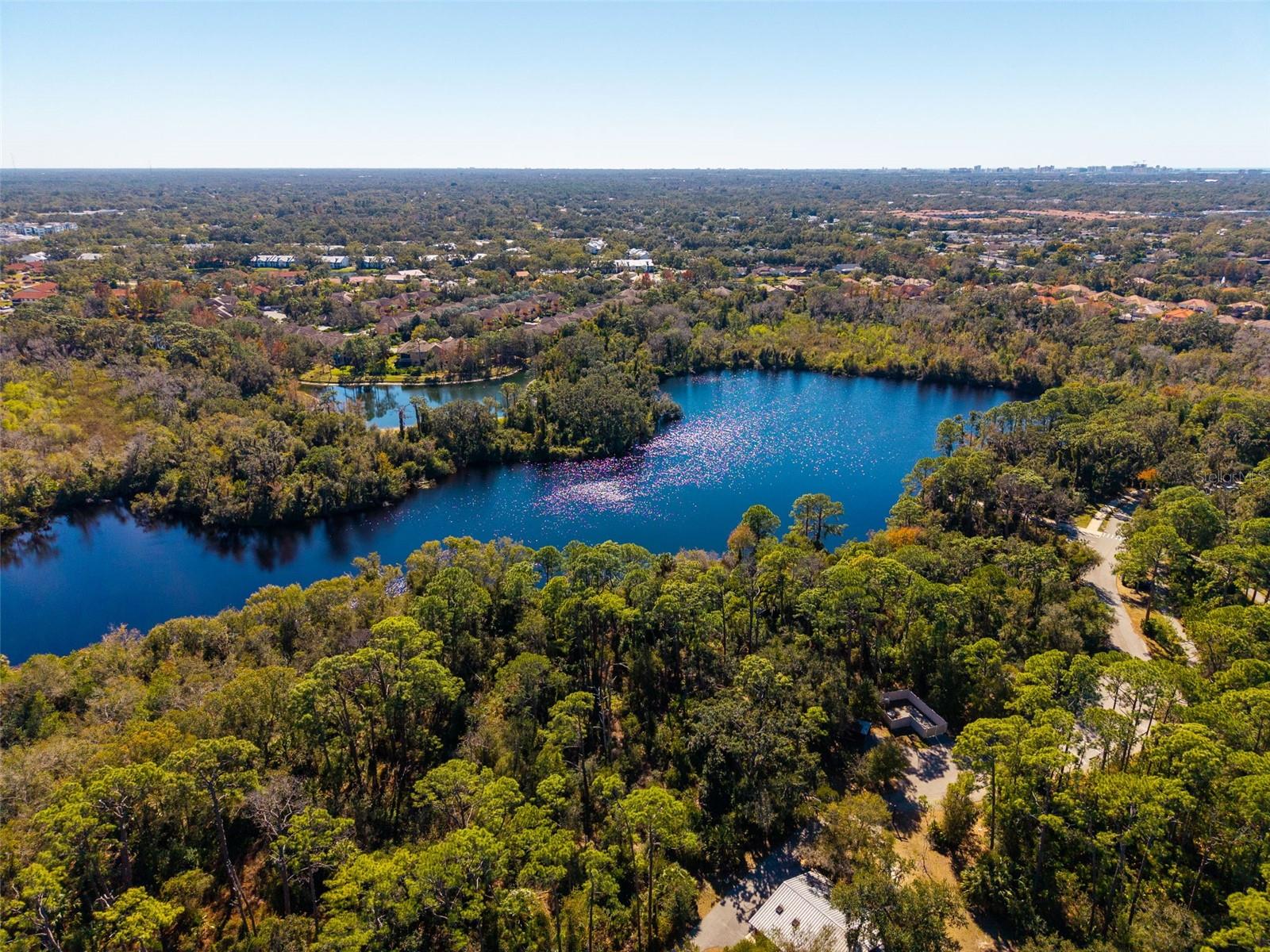 8023 DESOTO WOODS DR