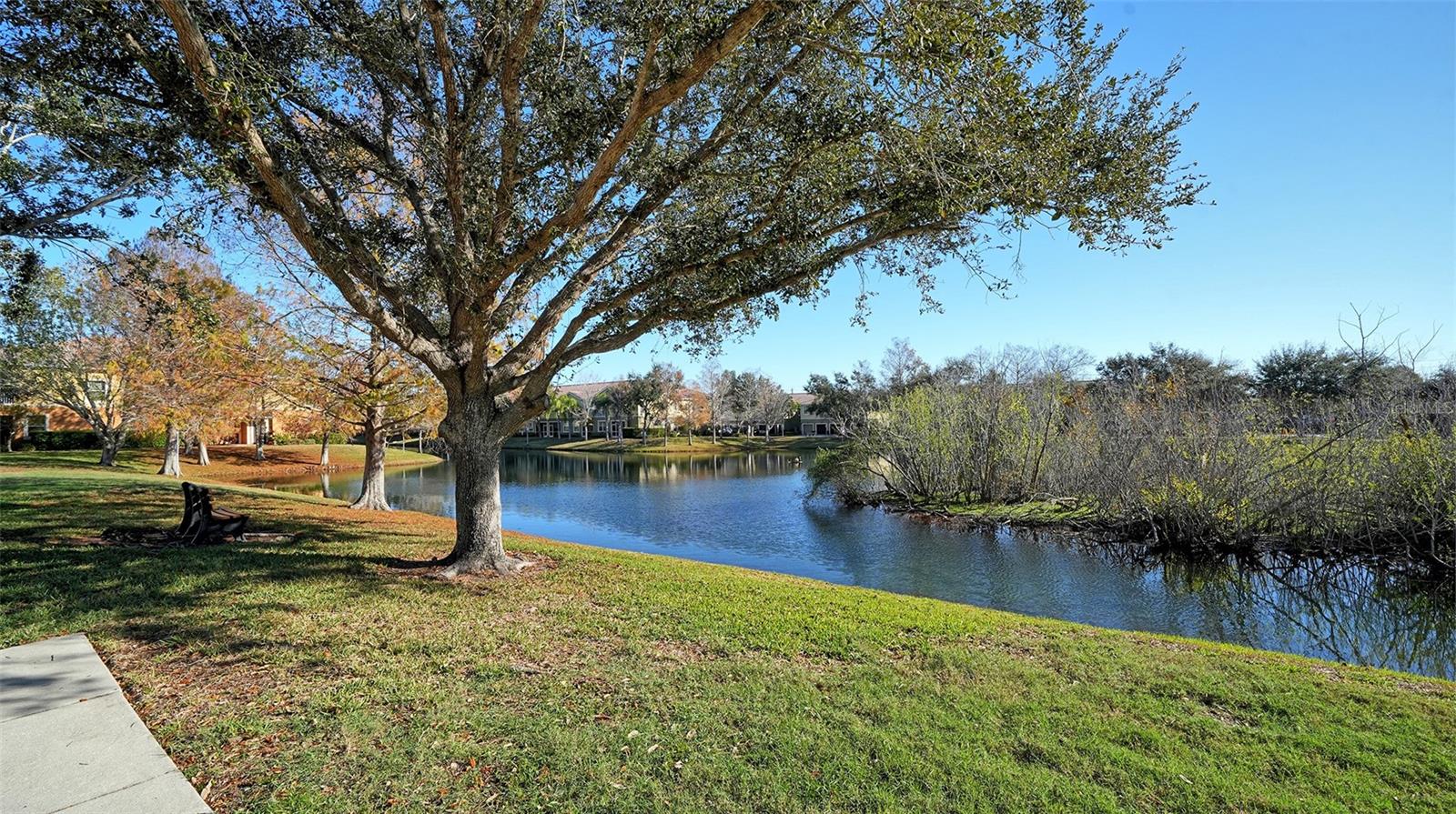 7983 LIMESTONE LN #14-201