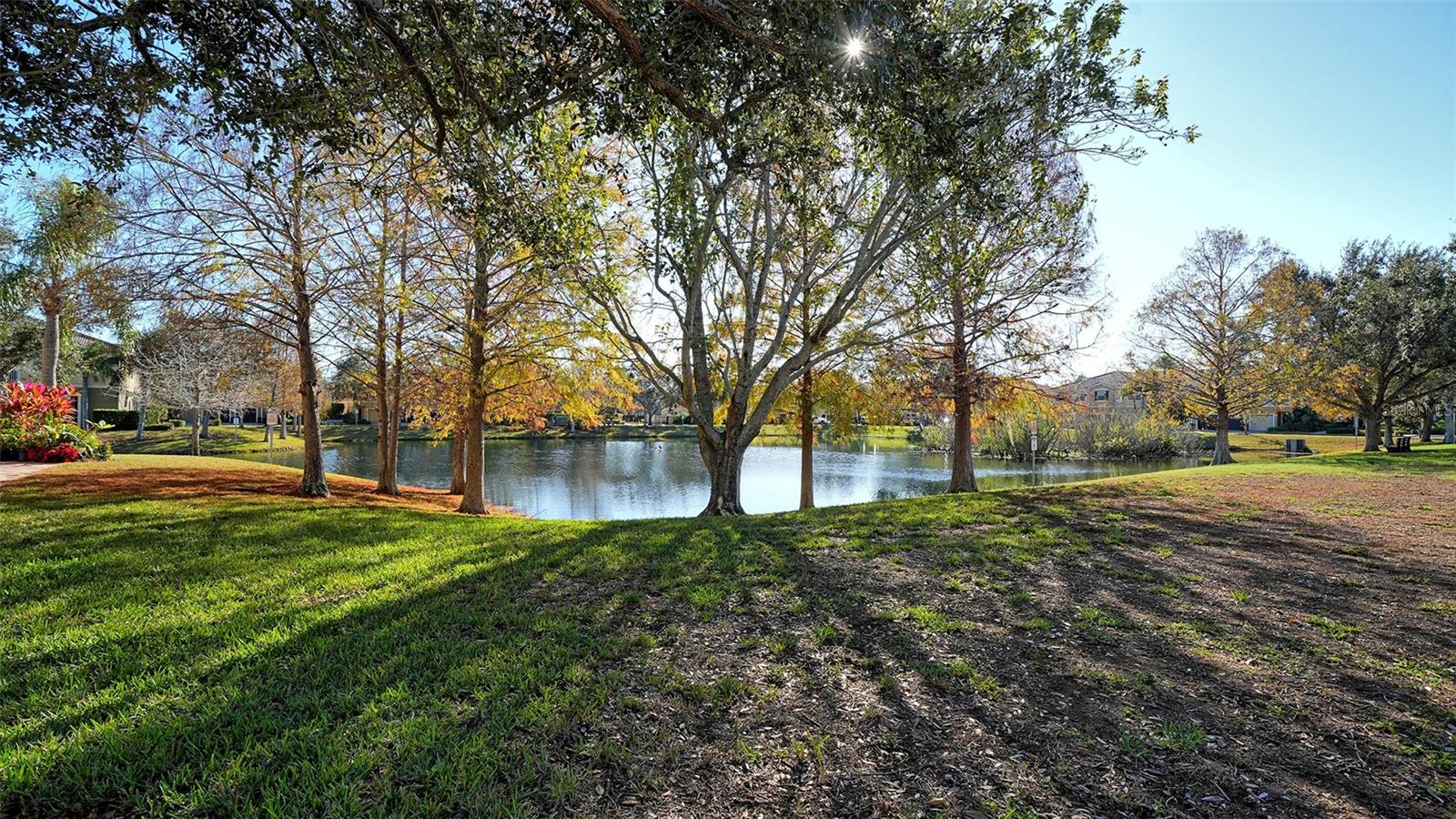 7983 LIMESTONE LN #14-201