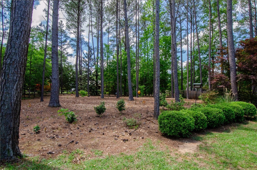 2209 MOUNT VERNON LANE