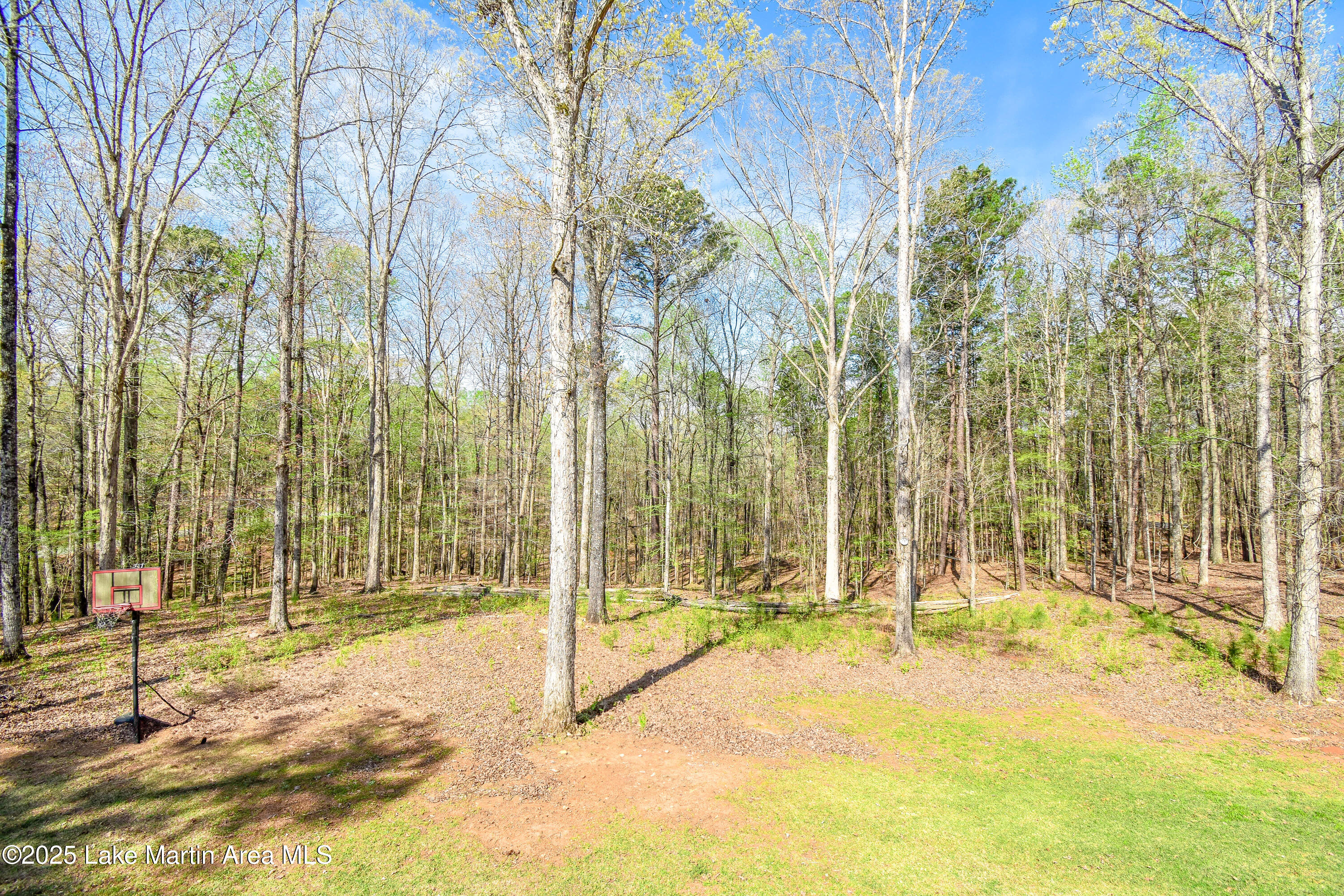 538 Stagecoach Rd