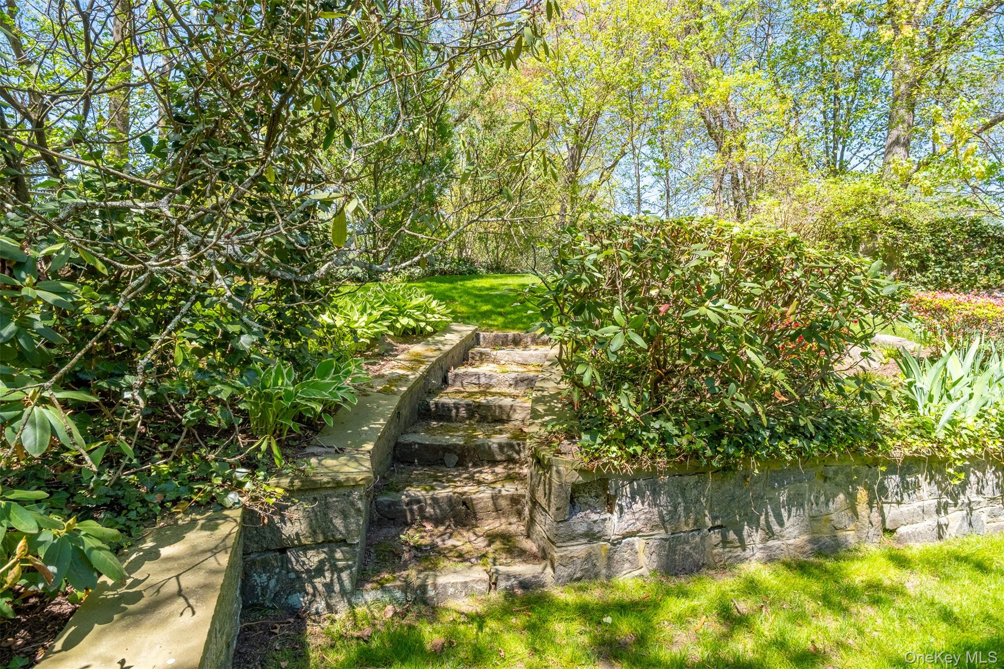 24 Sheldrake Place