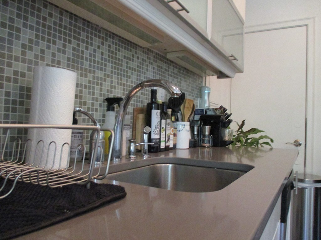 19 Colliston Rd. # 11