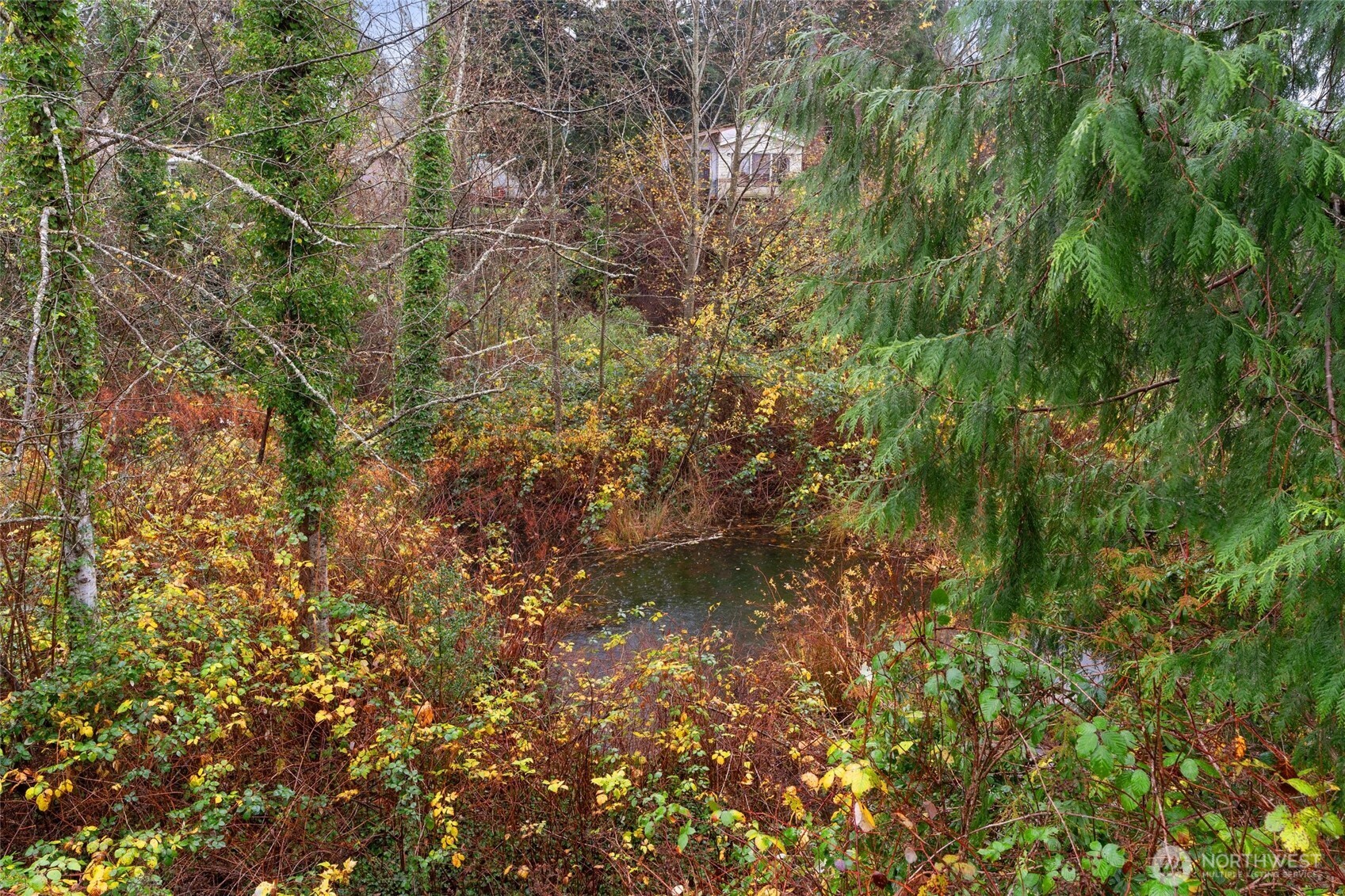 41318 Upper Creek Road