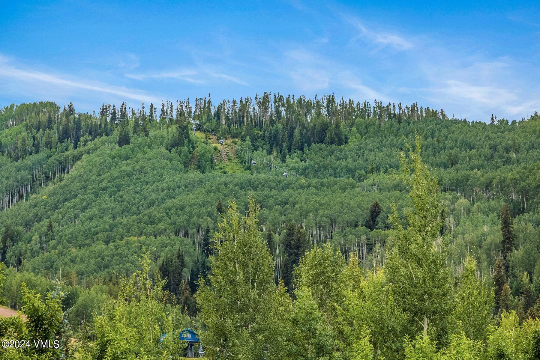 595 Vail Valley Drive Unit: 226