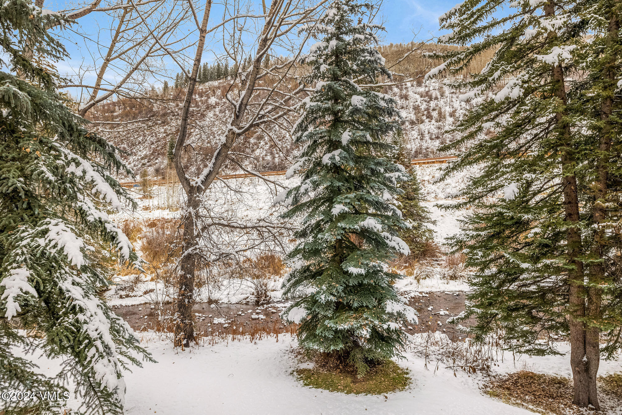 4620 Vail Racquet Club Drive Unit: 5