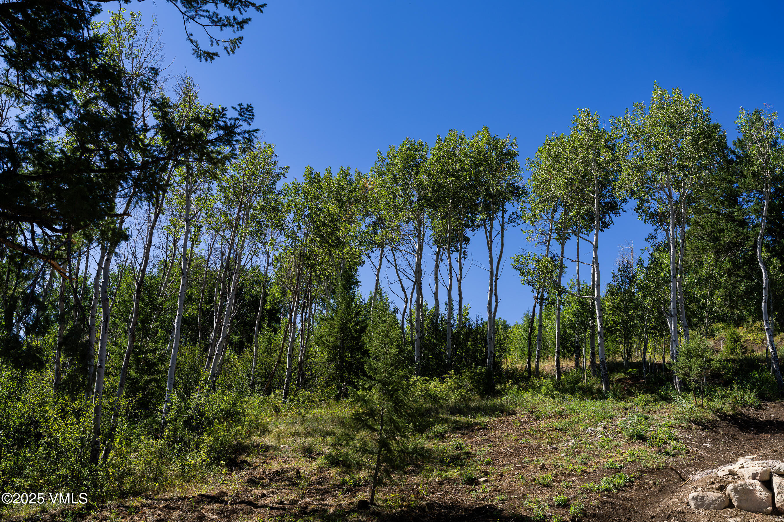 171 Sunquist Road