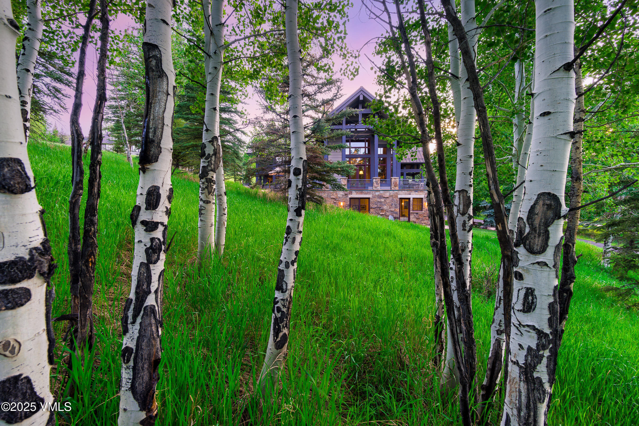 25 Stag Gulch Ct