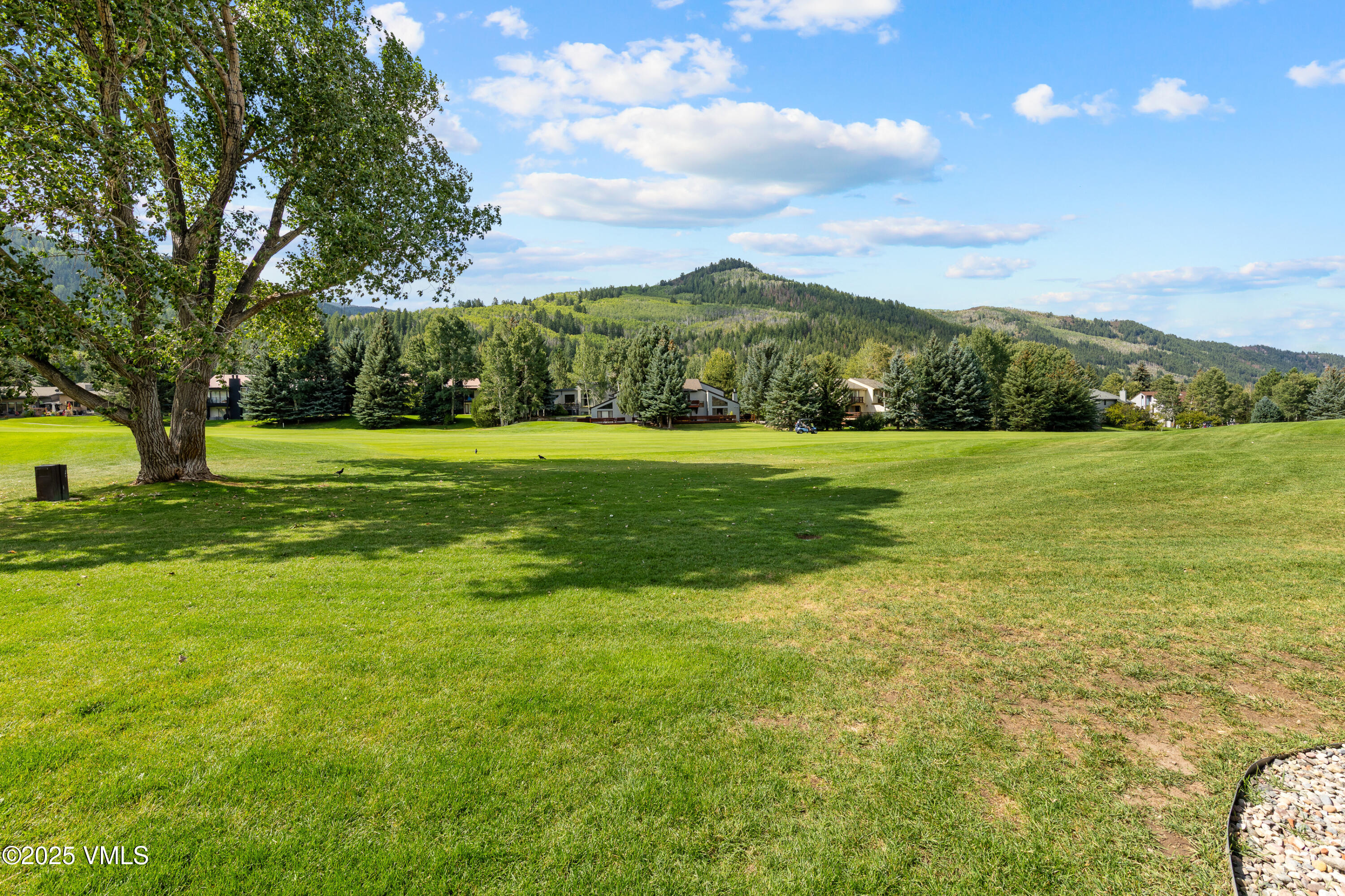 54 Columbine Circle, A8, Eagle-Vail Unit: A8