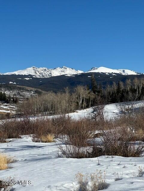 36 WEBB PEAK