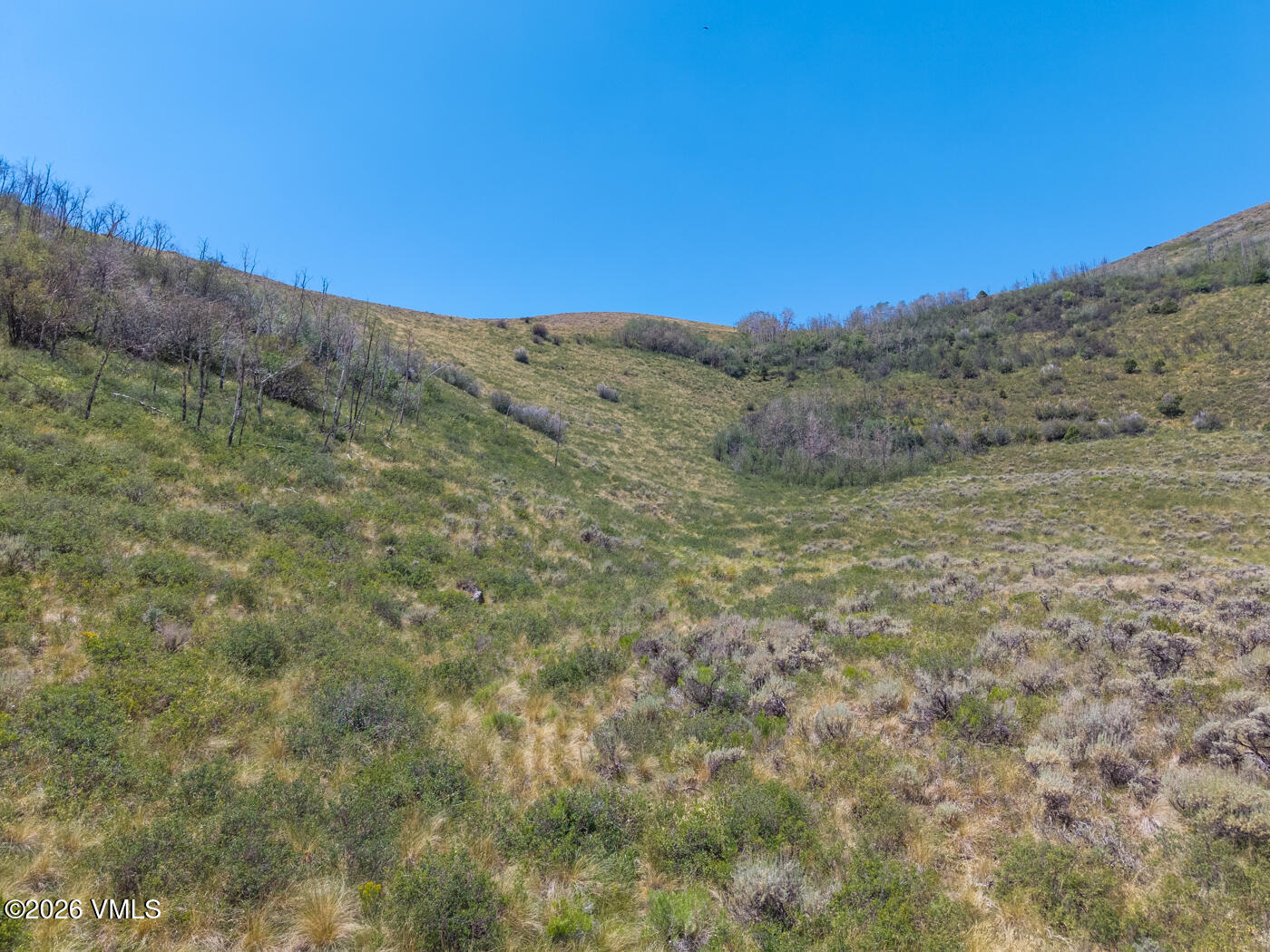 700 Silver Spur Trail