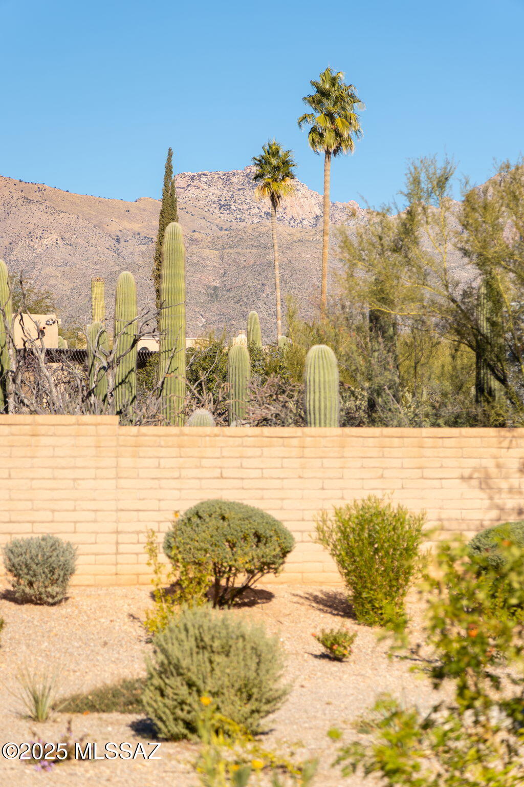 5671 N Placita Stilbayo