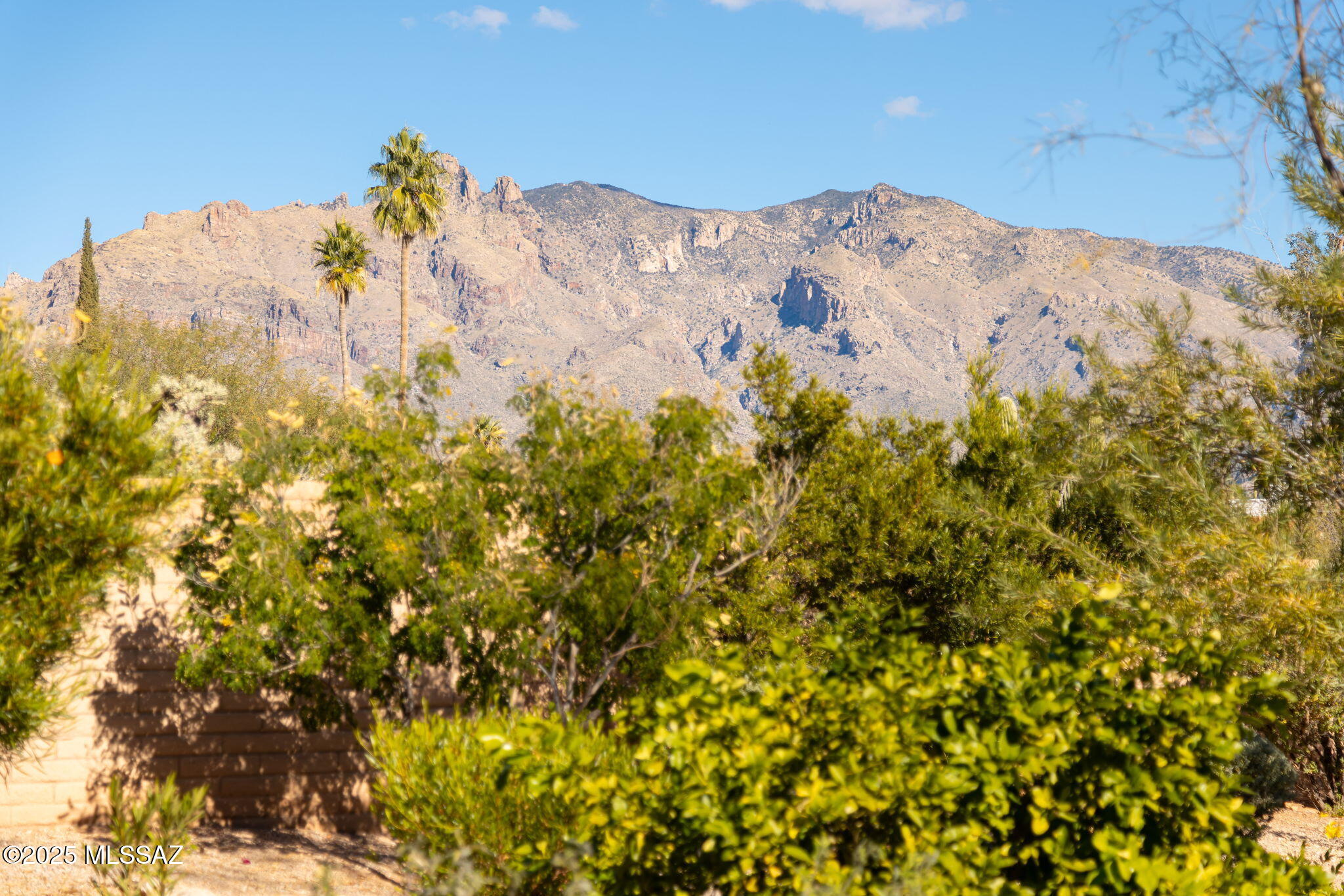 5671 N Placita Stilbayo