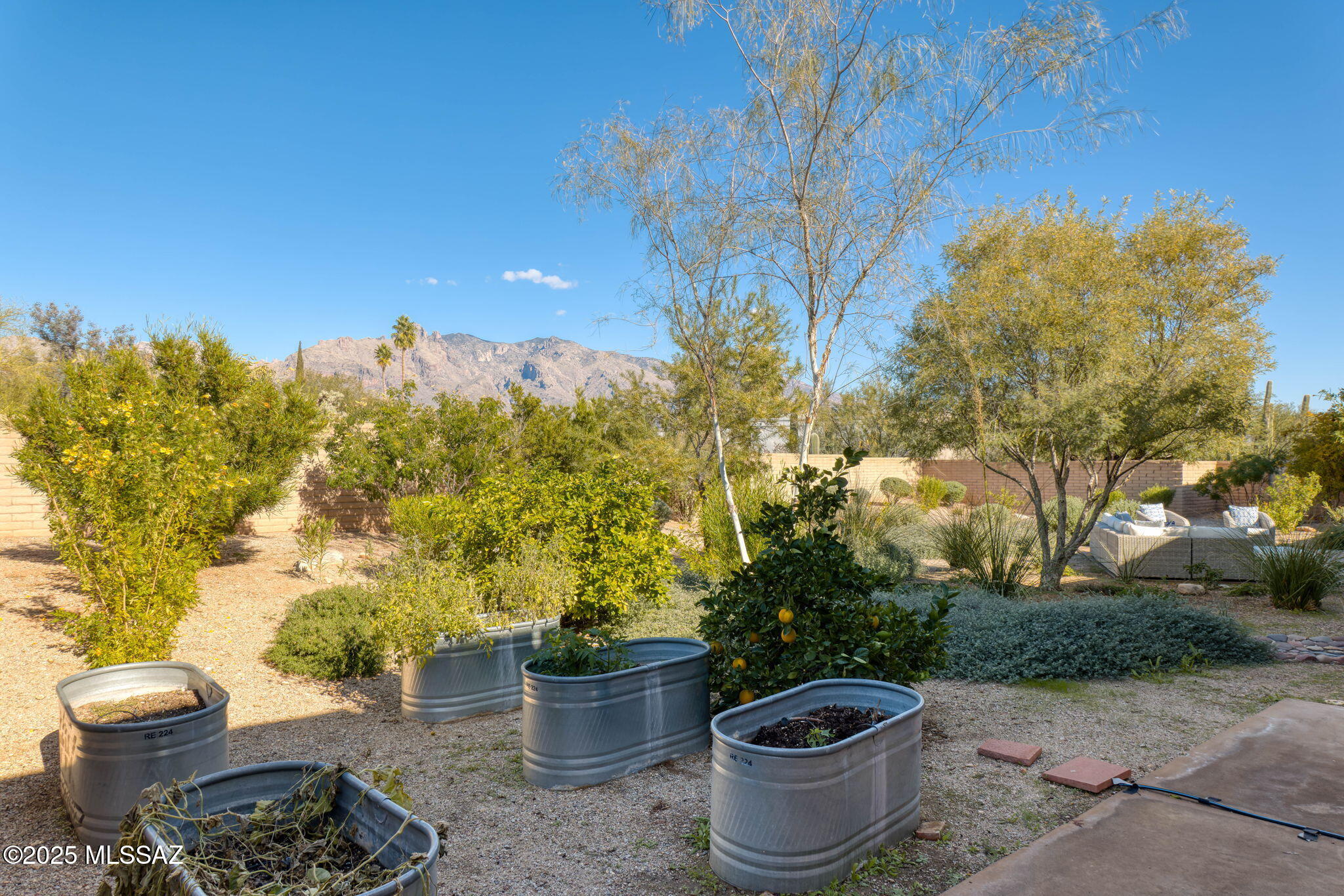 5671 N Placita Stilbayo