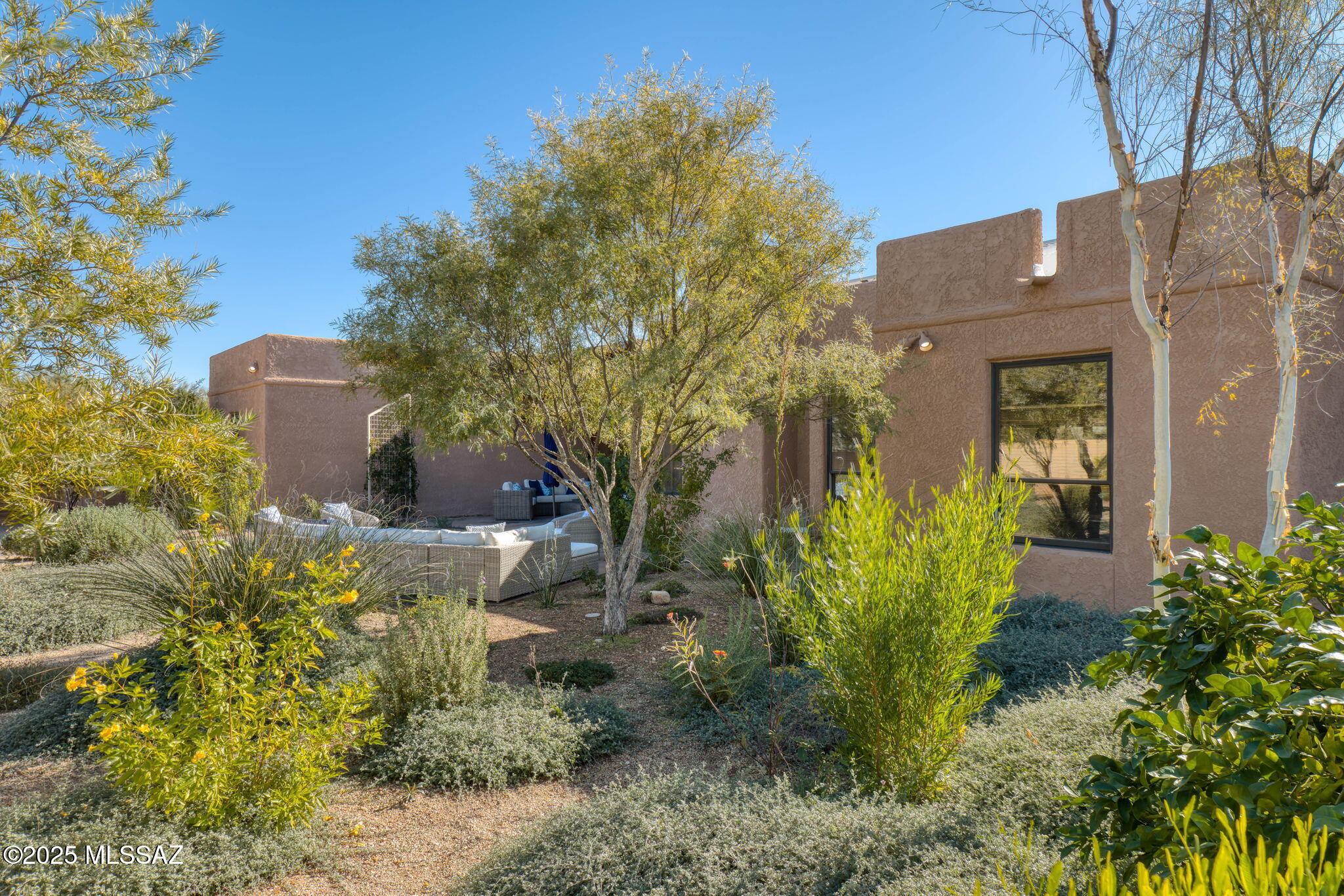 5671 N Placita Stilbayo