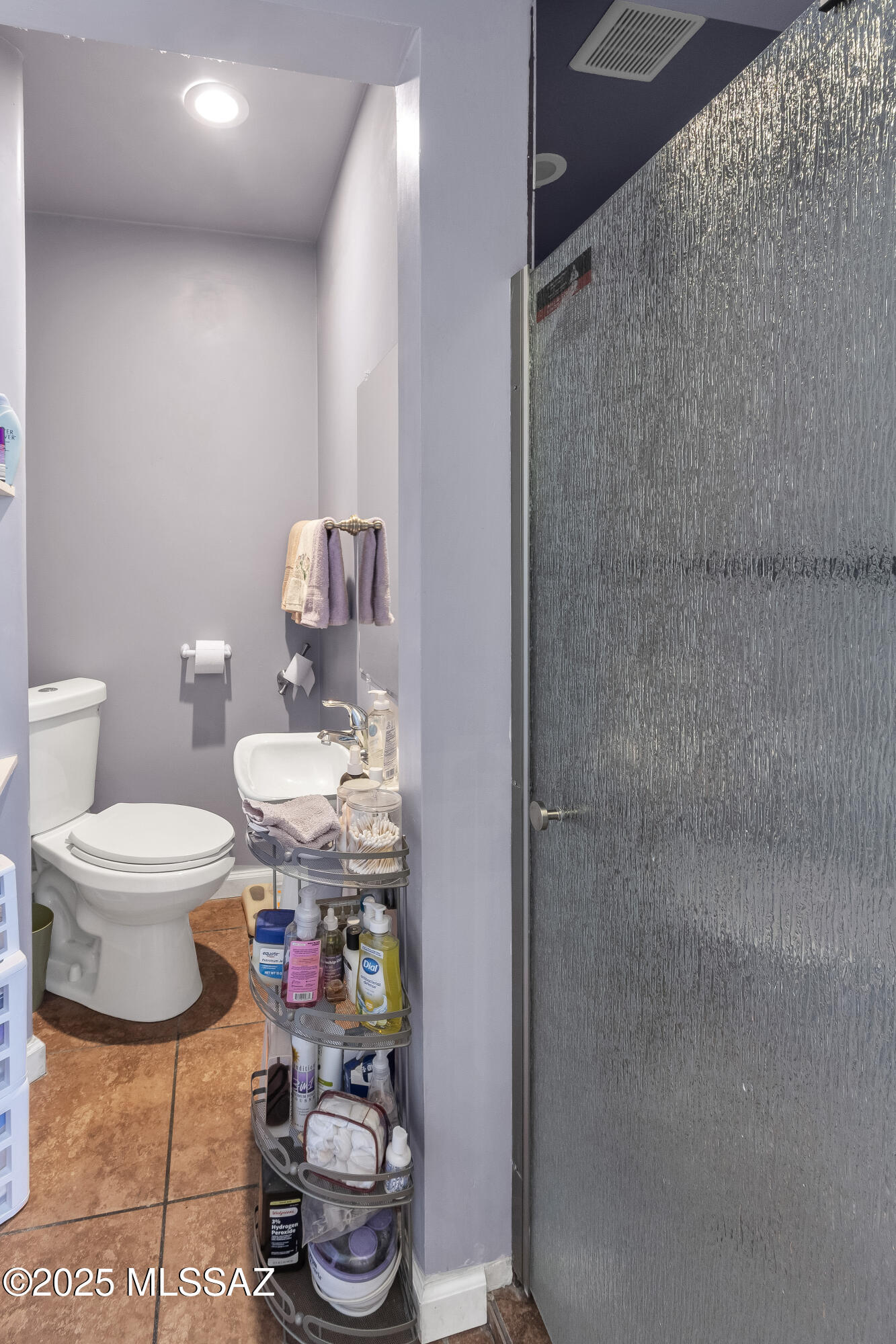 7370 S Cactus Thorn Lane