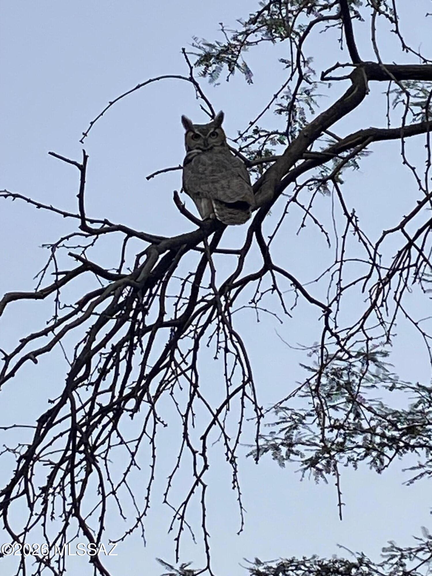 40 E Plaza Del Encanto