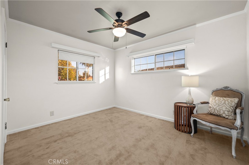 213 S Meadow