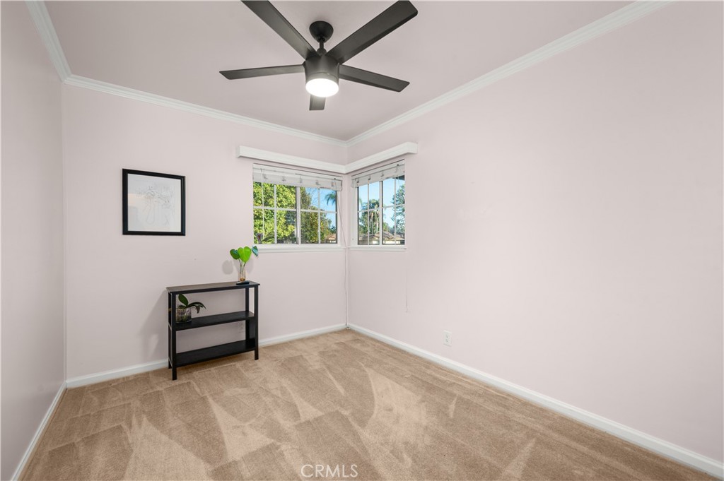 213 S Meadow