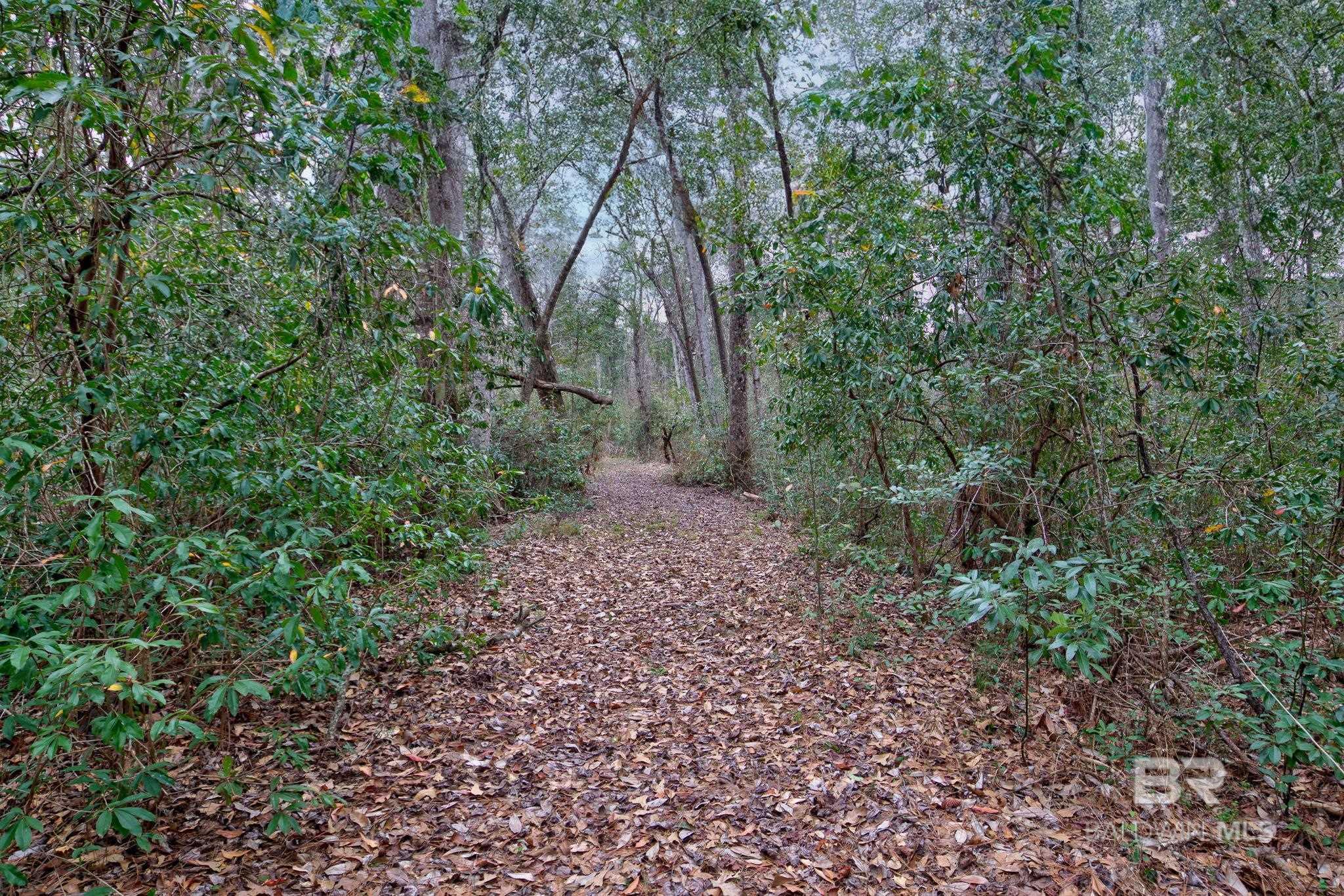 10561 Mckenzie Road