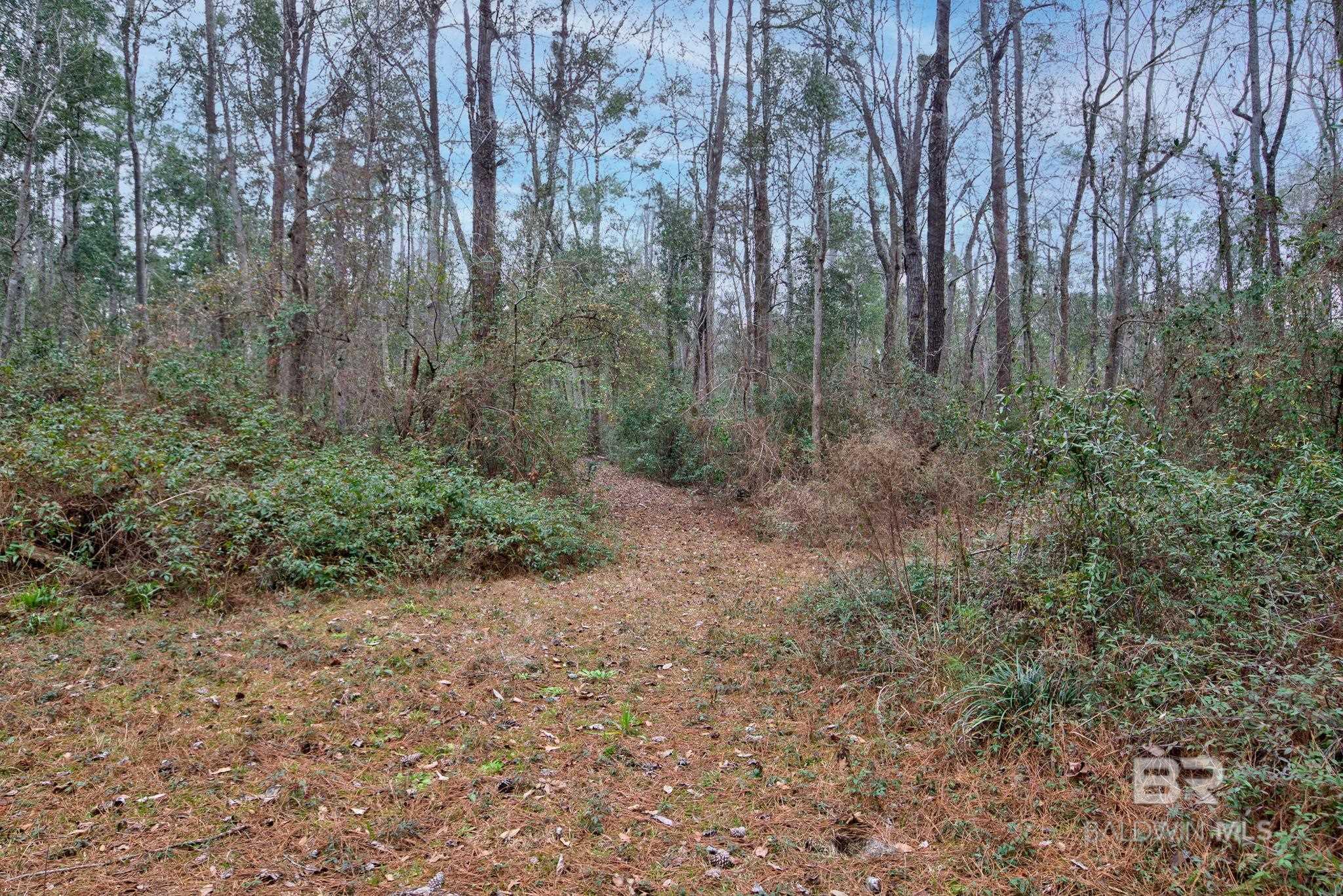 10561 Mckenzie Road