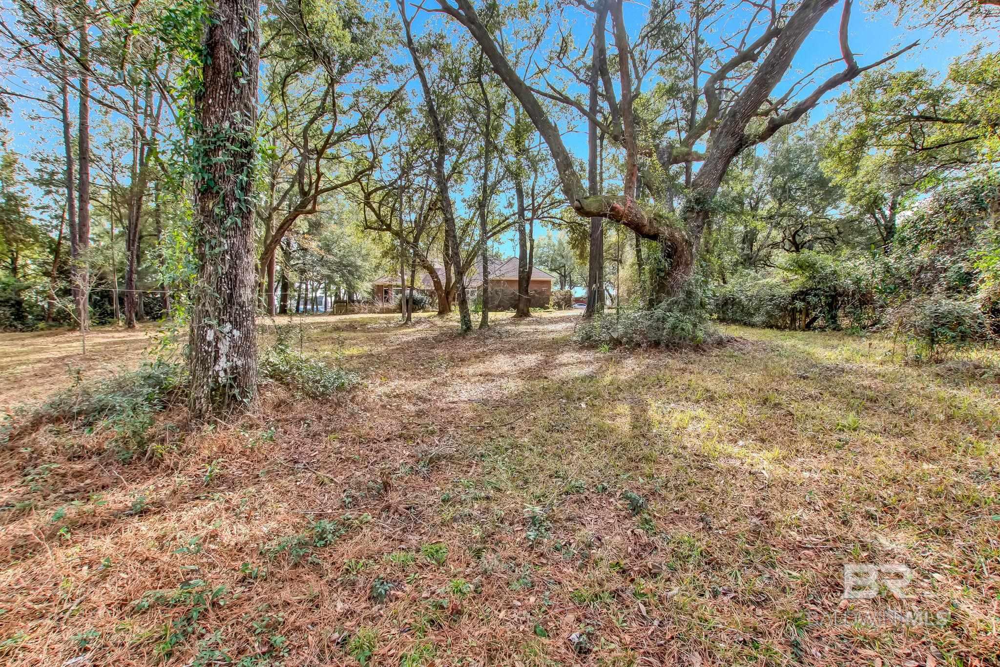 10561 Mckenzie Road
