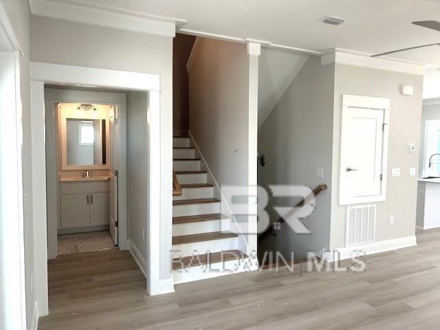24024 Cayenne Lane