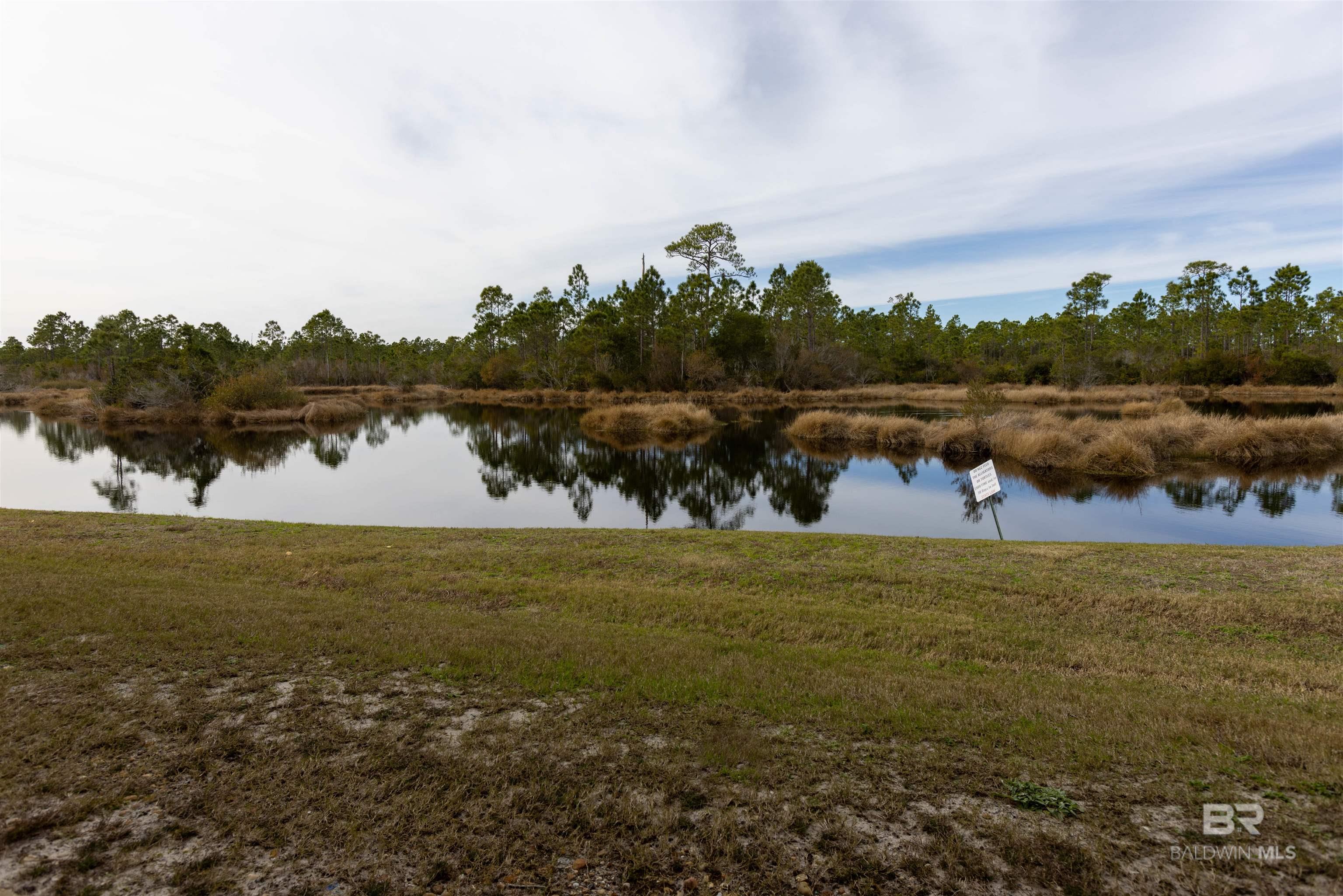 24101 Perdido Beach Boulevard 104-A