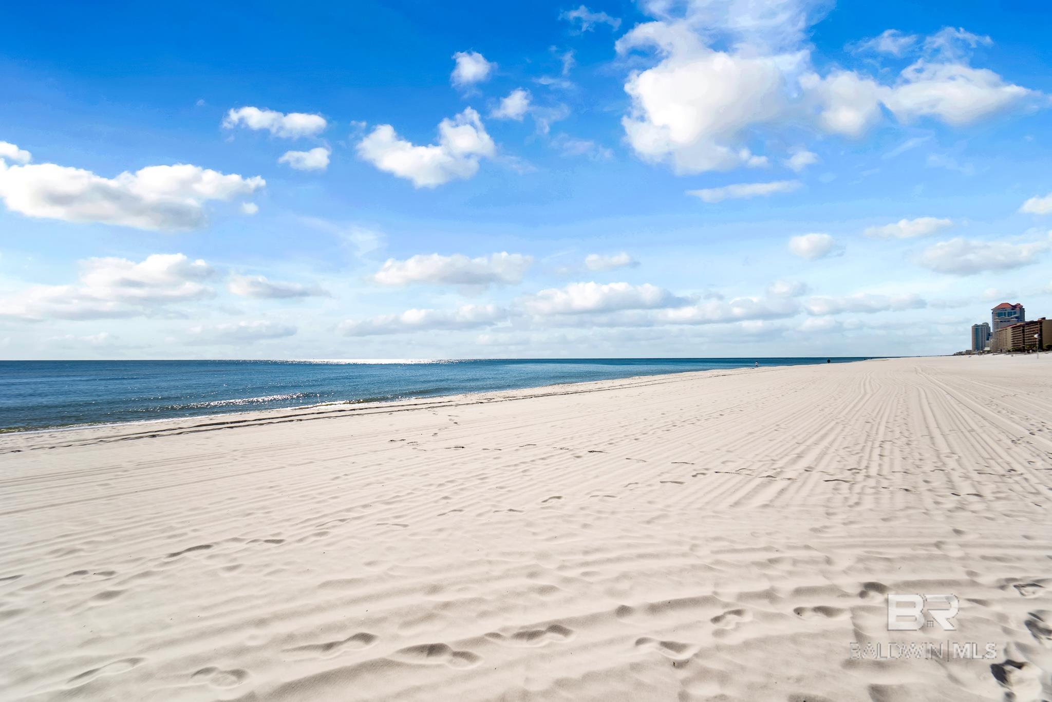 24770 Perdido Beach Boulevard 204