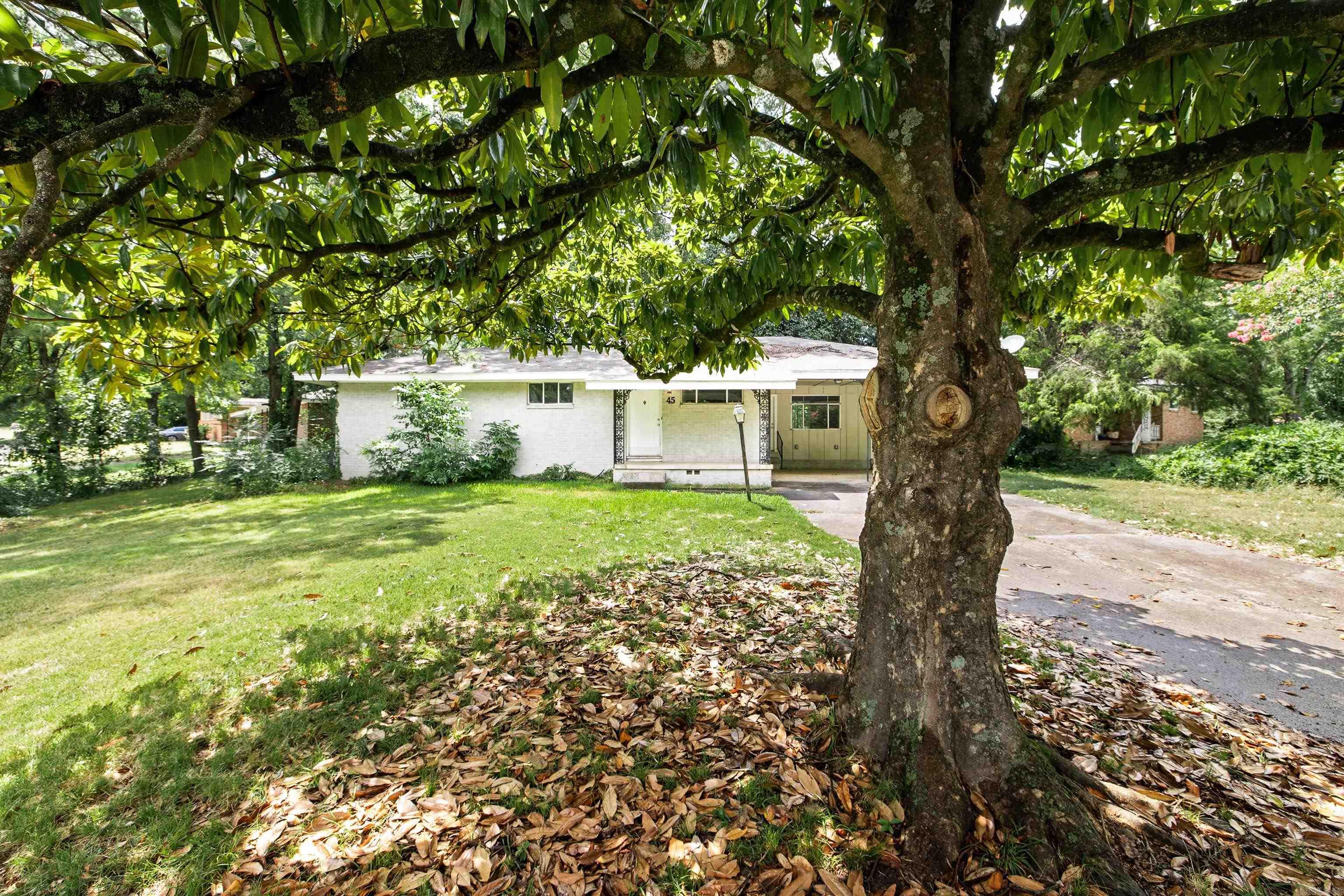 45 Belmont Drive
