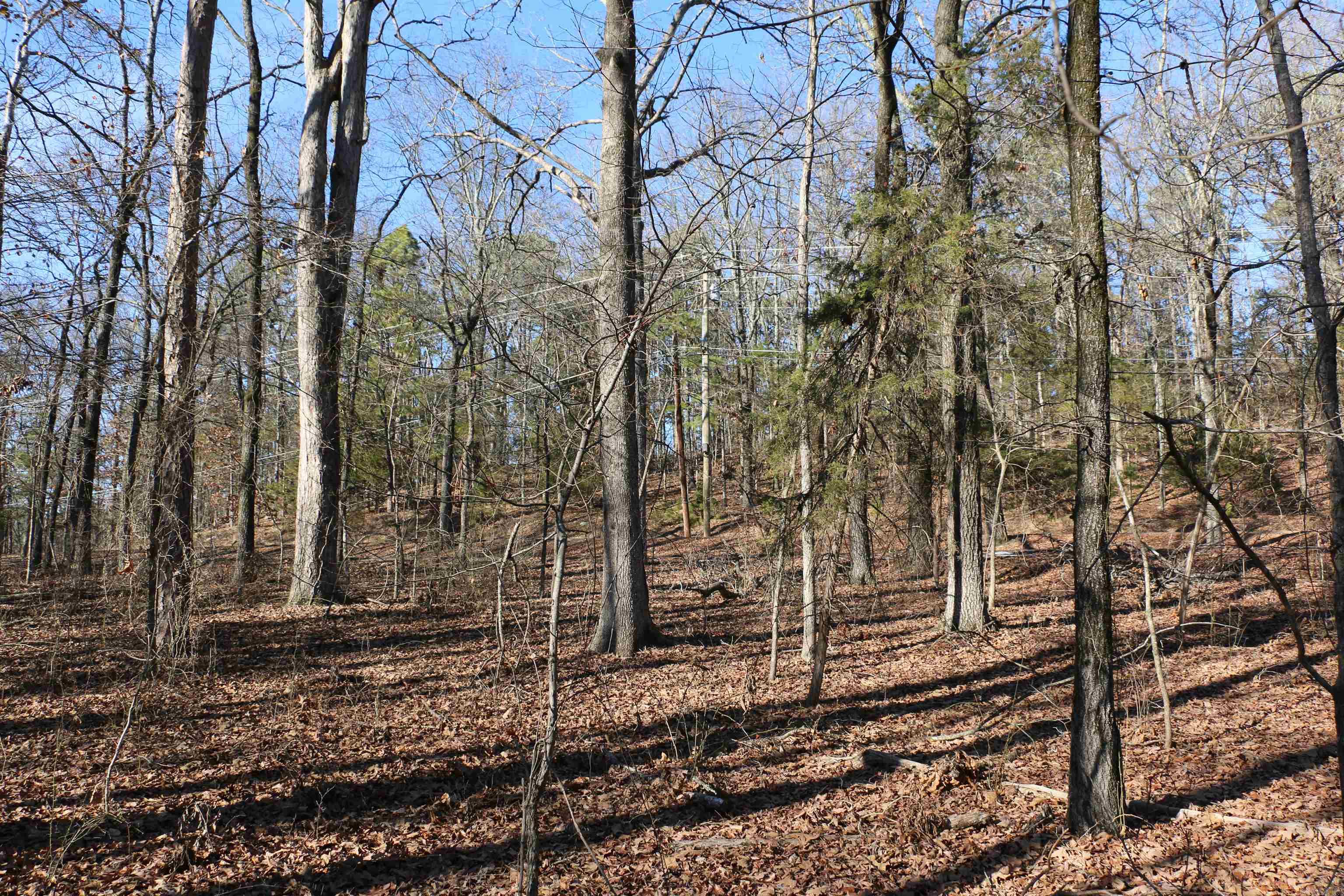 Lot 152 Woodlawn Drive
