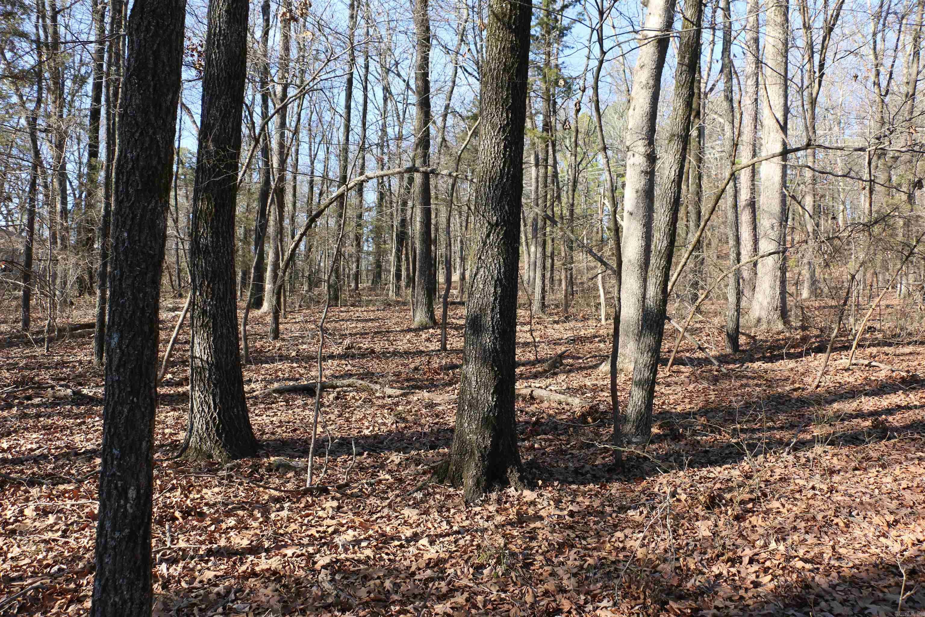 Lot 152 Woodlawn Drive