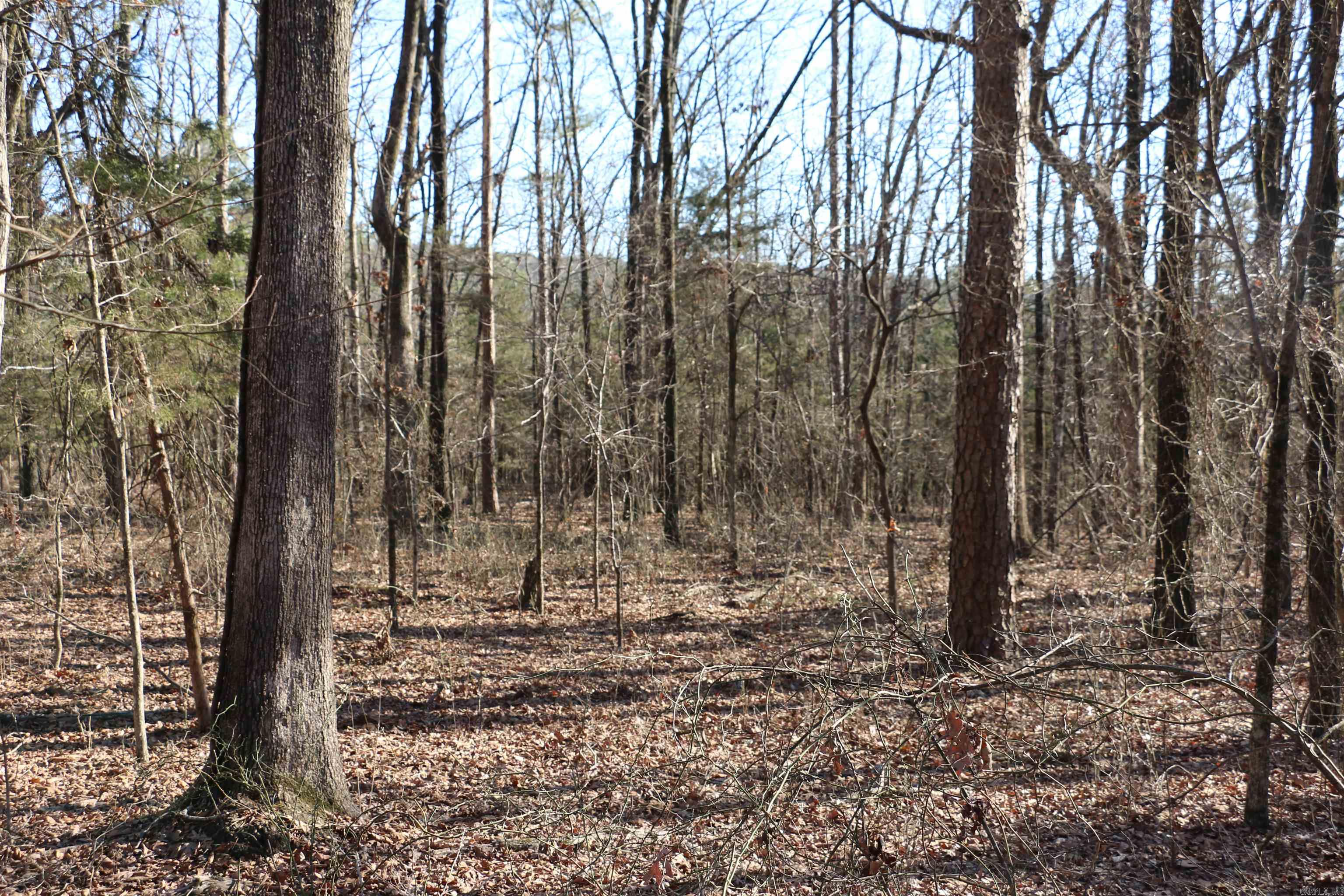 Lot 152 Woodlawn Drive