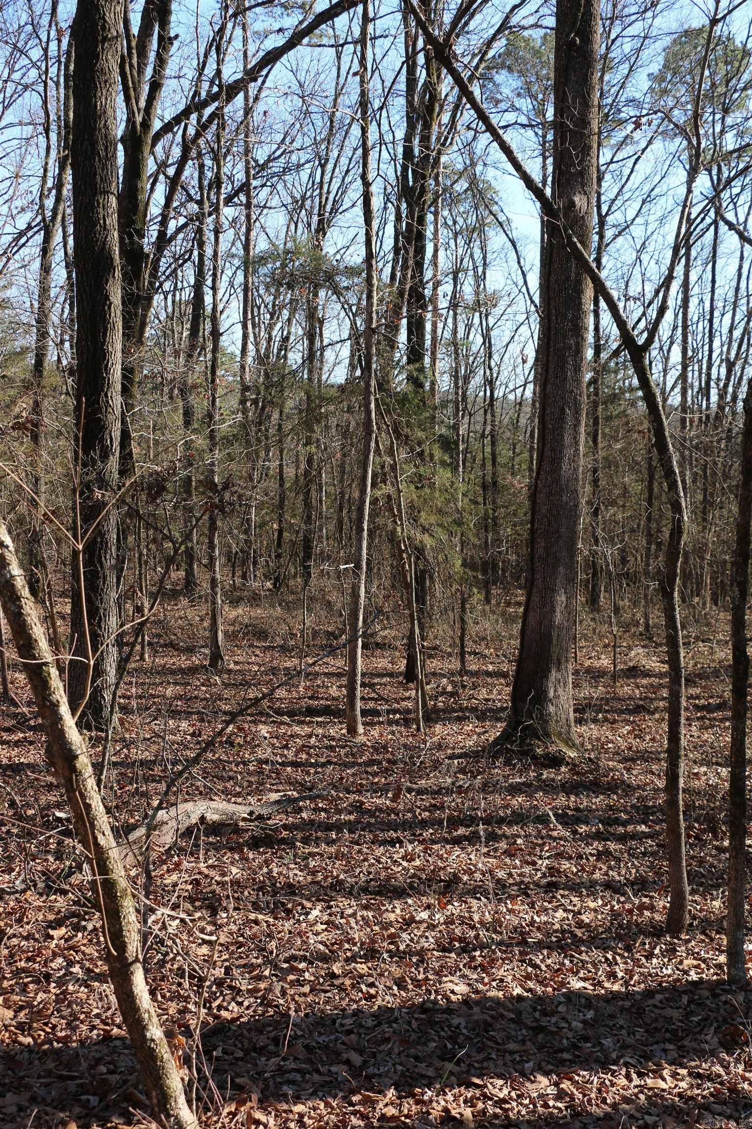 Lot 152 Woodlawn Drive