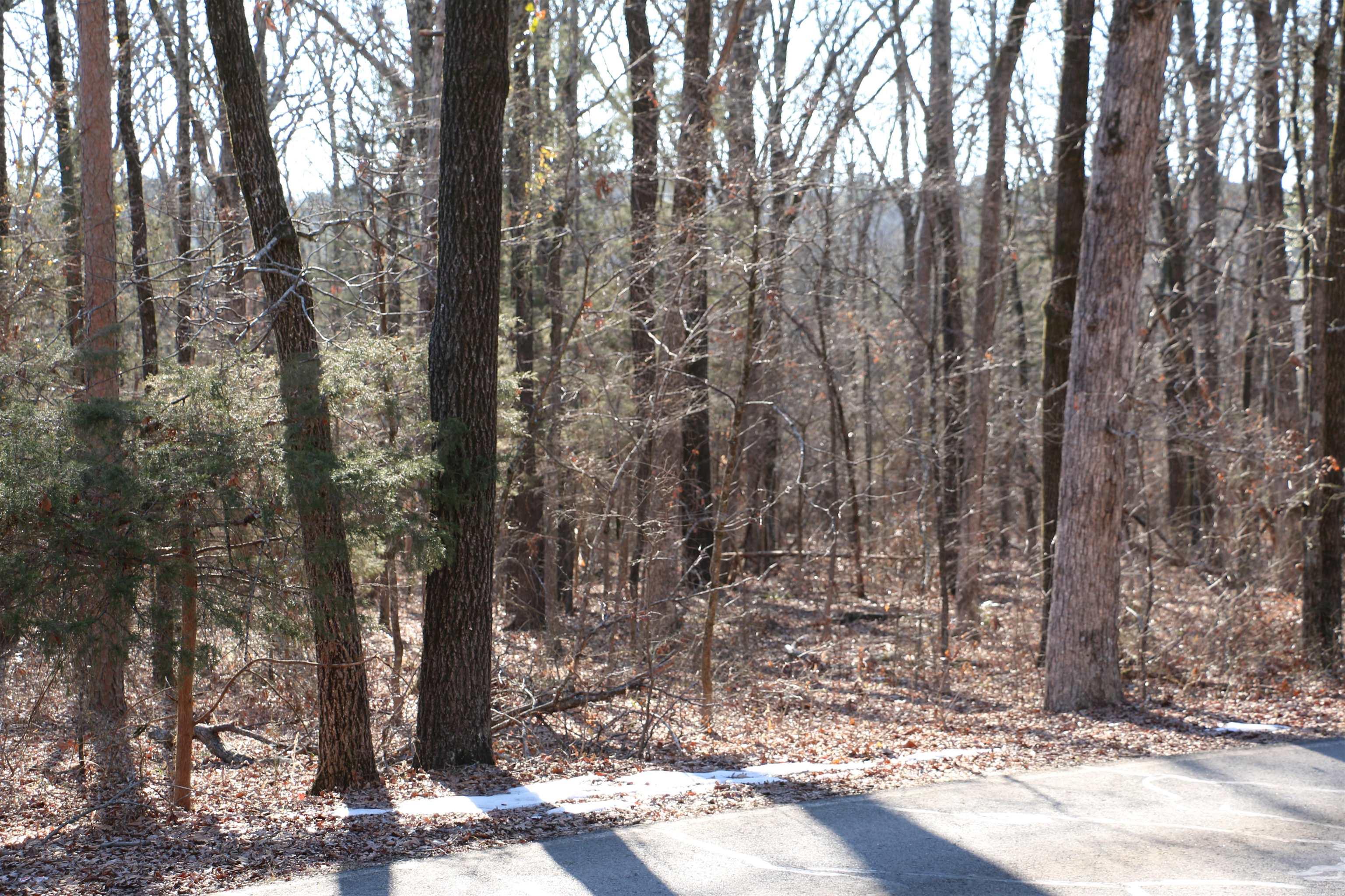 Lot 152 Woodlawn Drive
