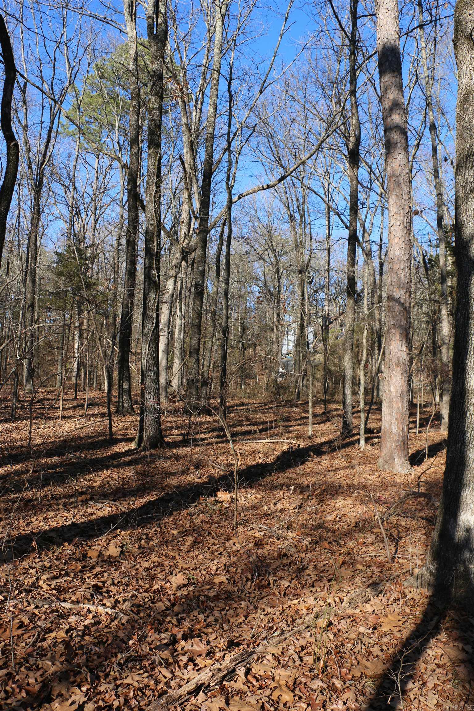 Lot 152 Woodlawn Drive