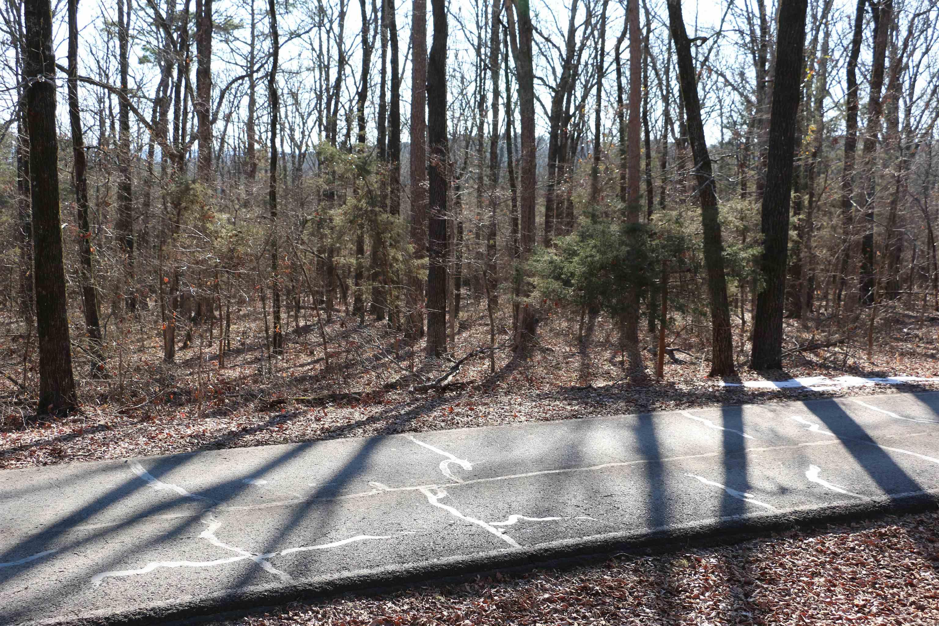 Lot 152 Woodlawn Drive