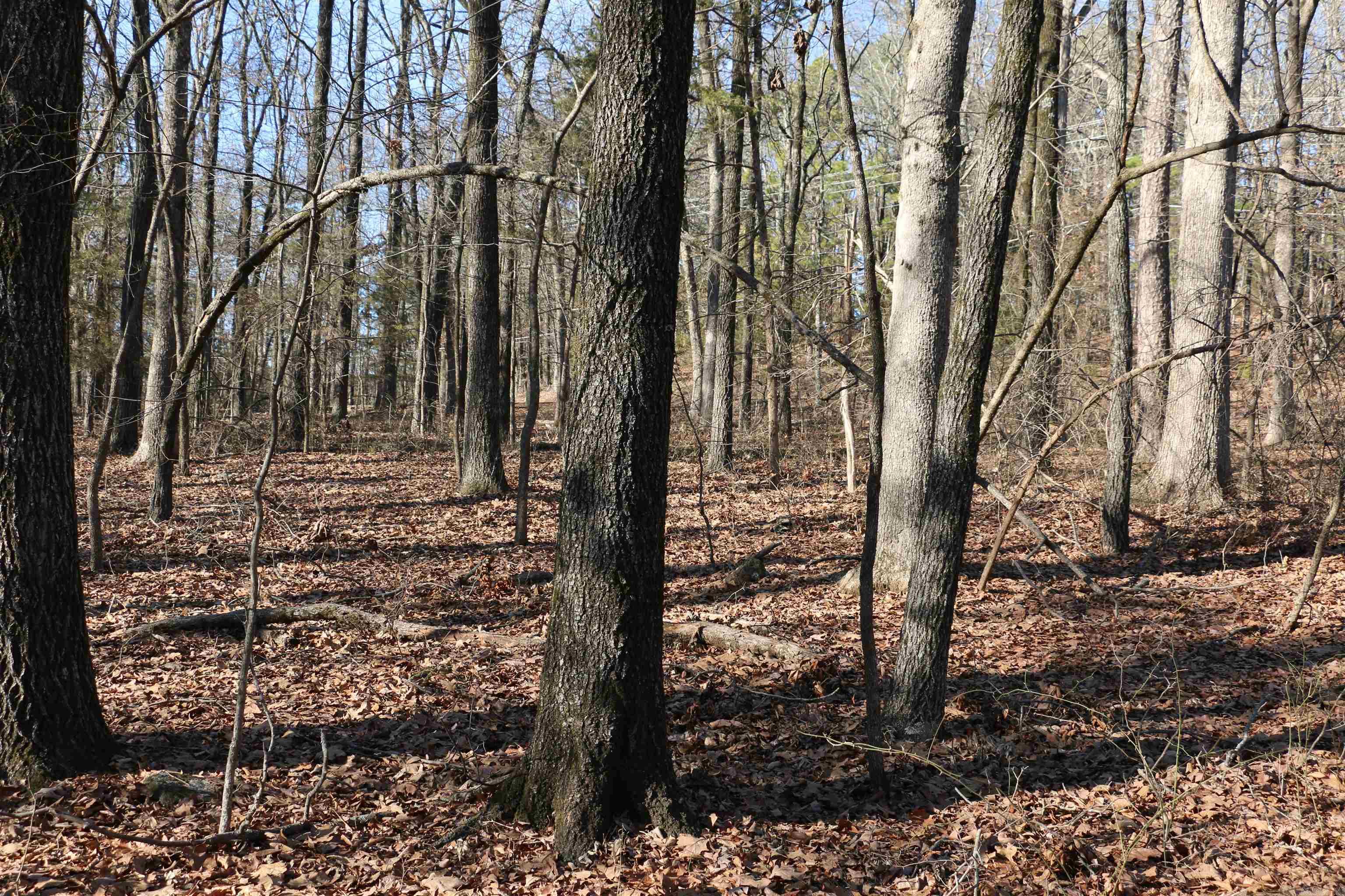 Lot 152 Woodlawn Drive