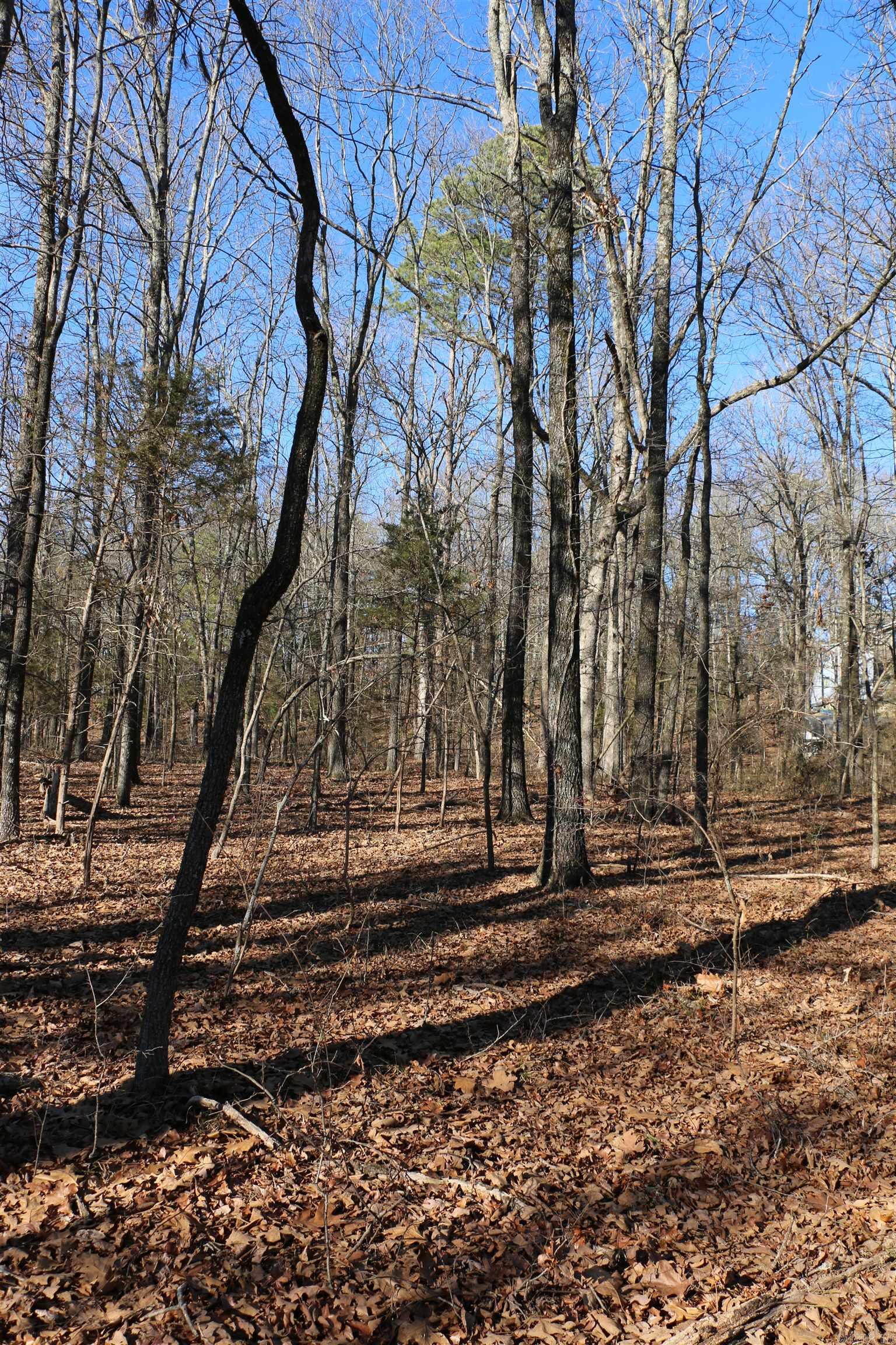 Lot 152 Woodlawn Drive