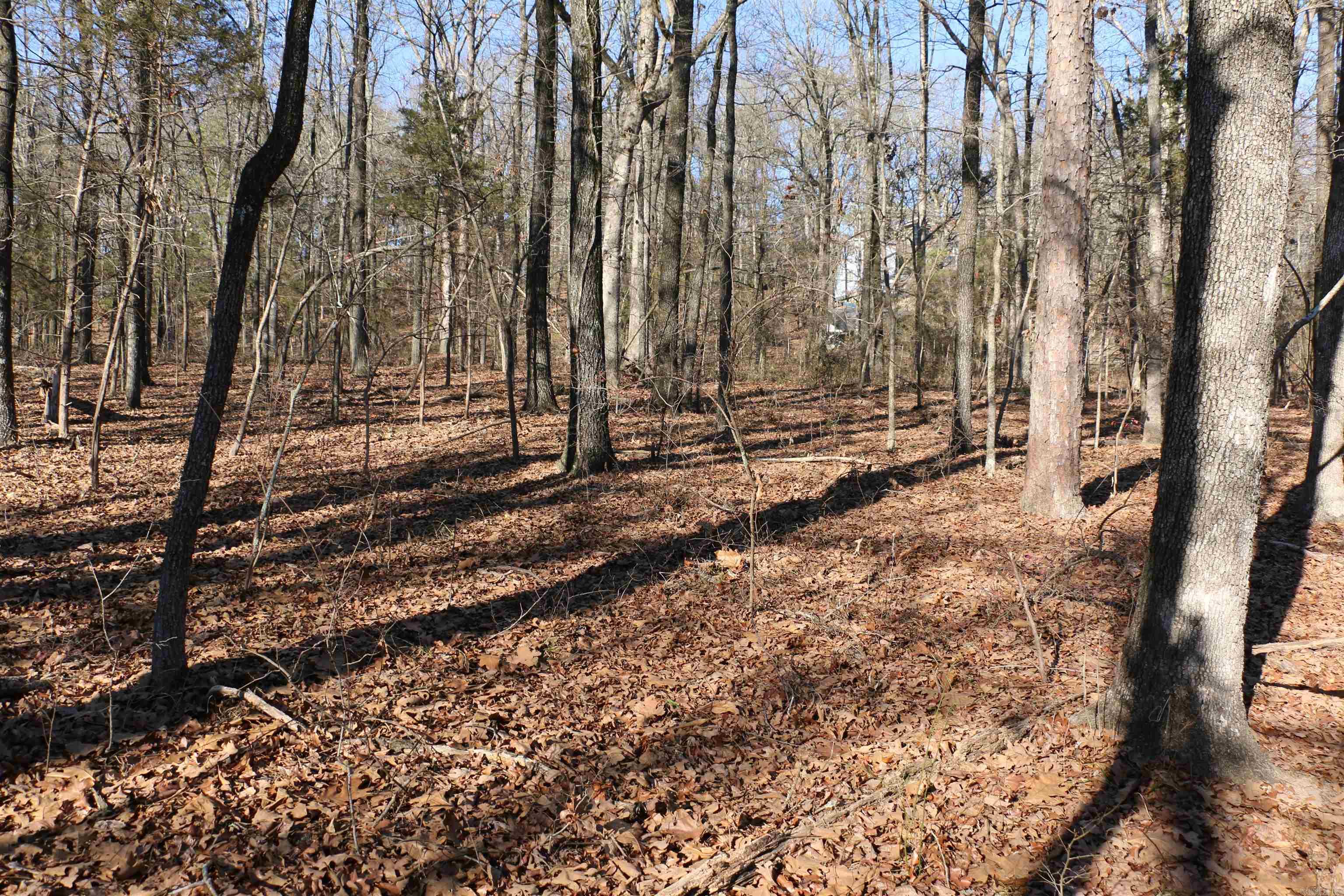 Lot 152 Woodlawn Drive