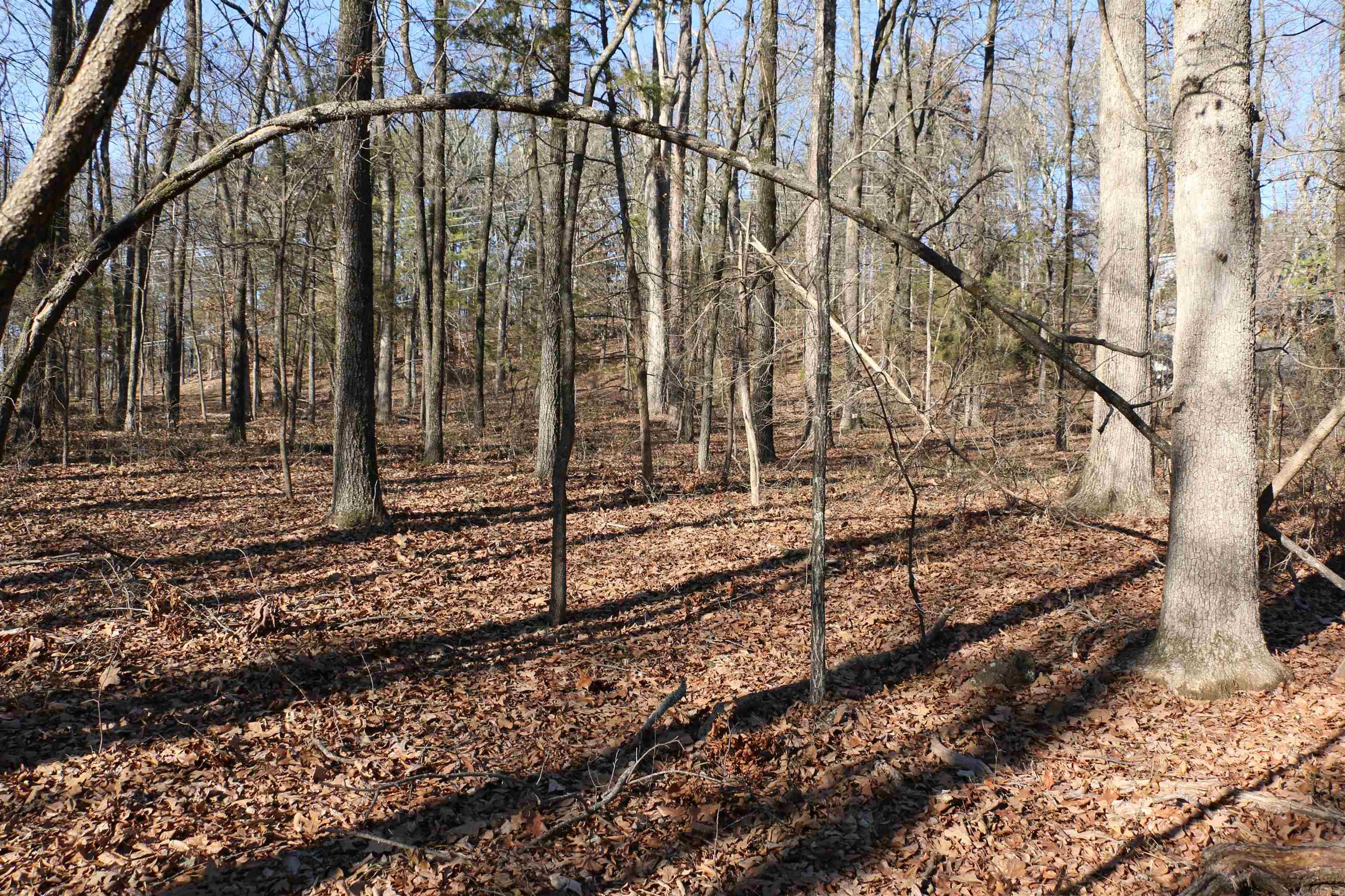 Lot 152 Woodlawn Drive
