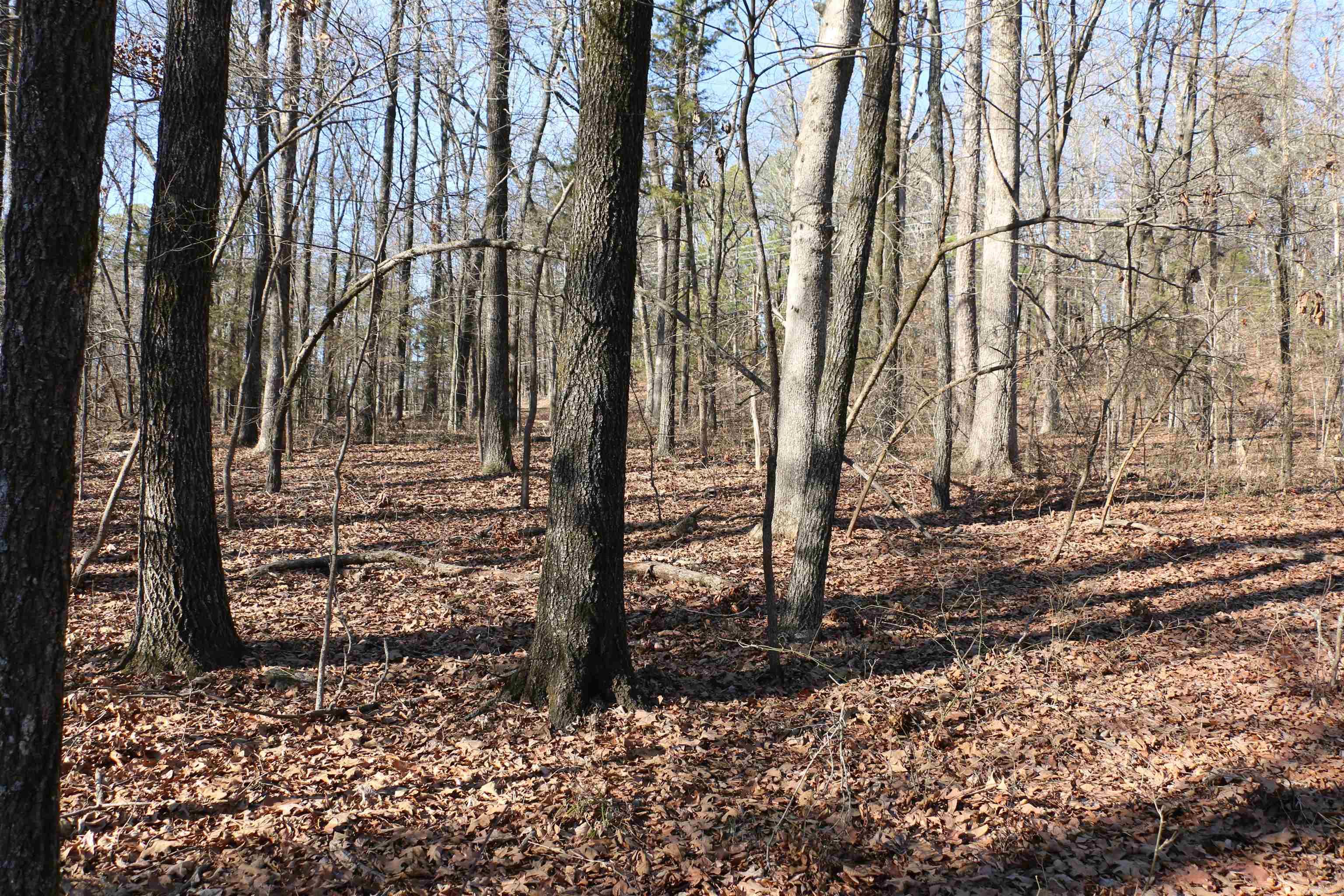 Lot 152 Woodlawn Drive